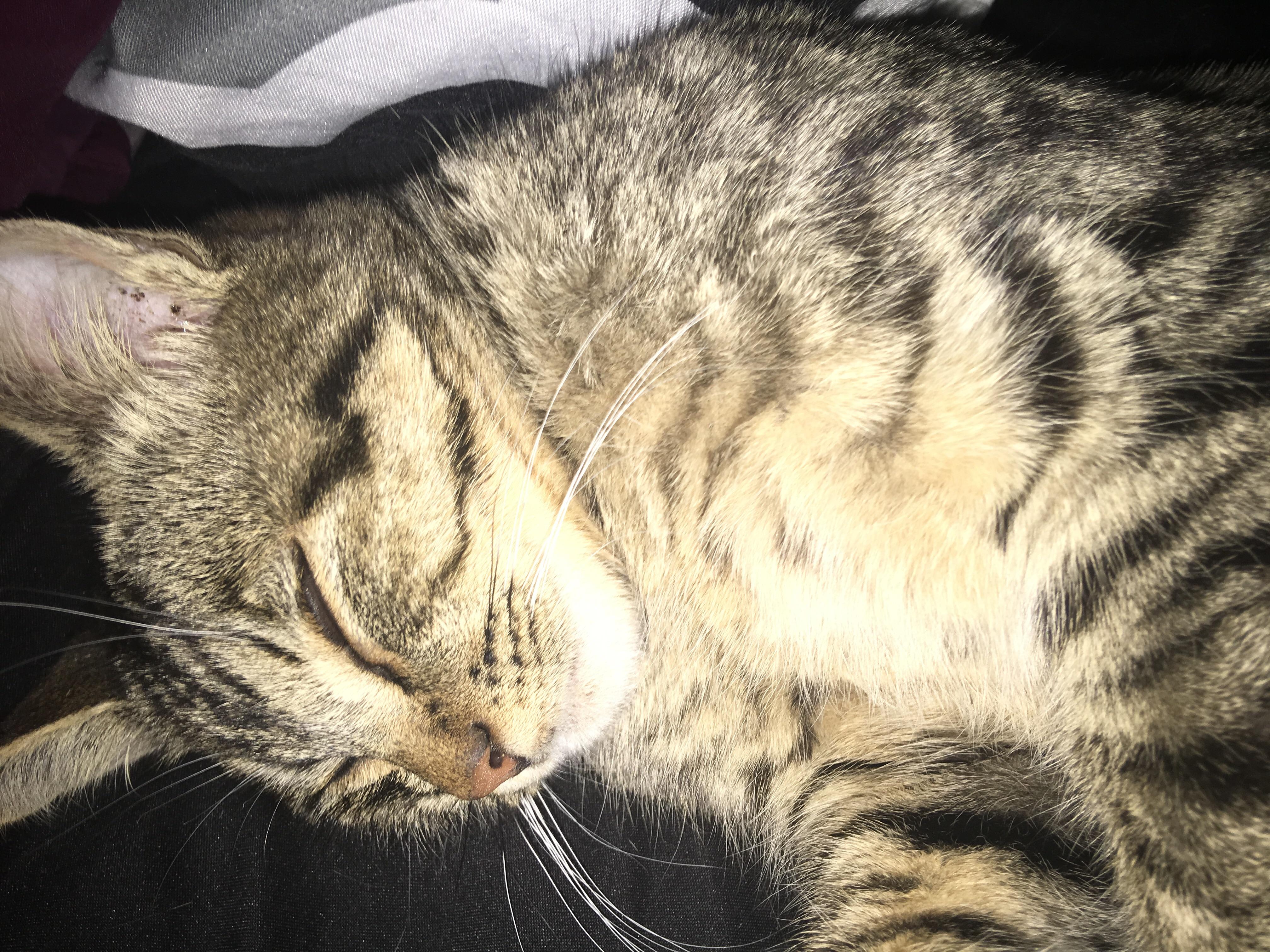 Question details sensitive content