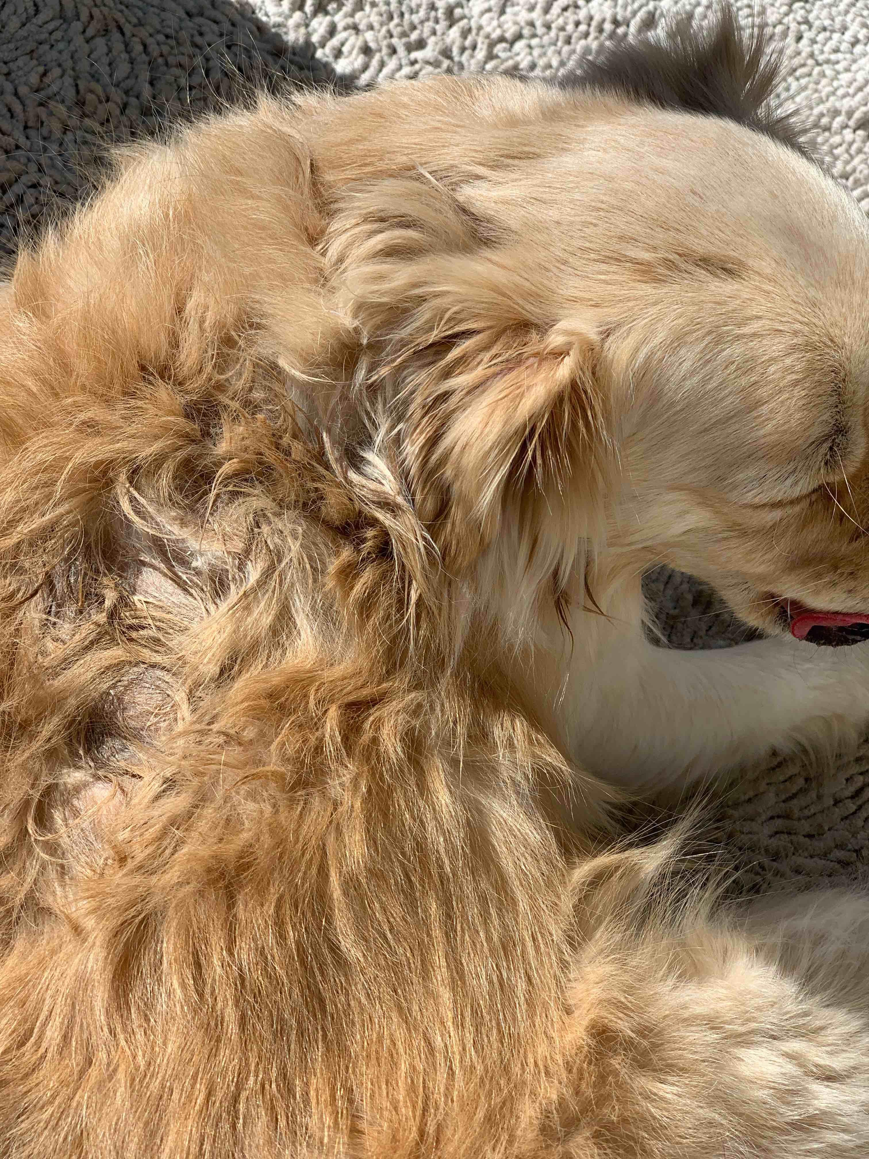 Question details sensitive content