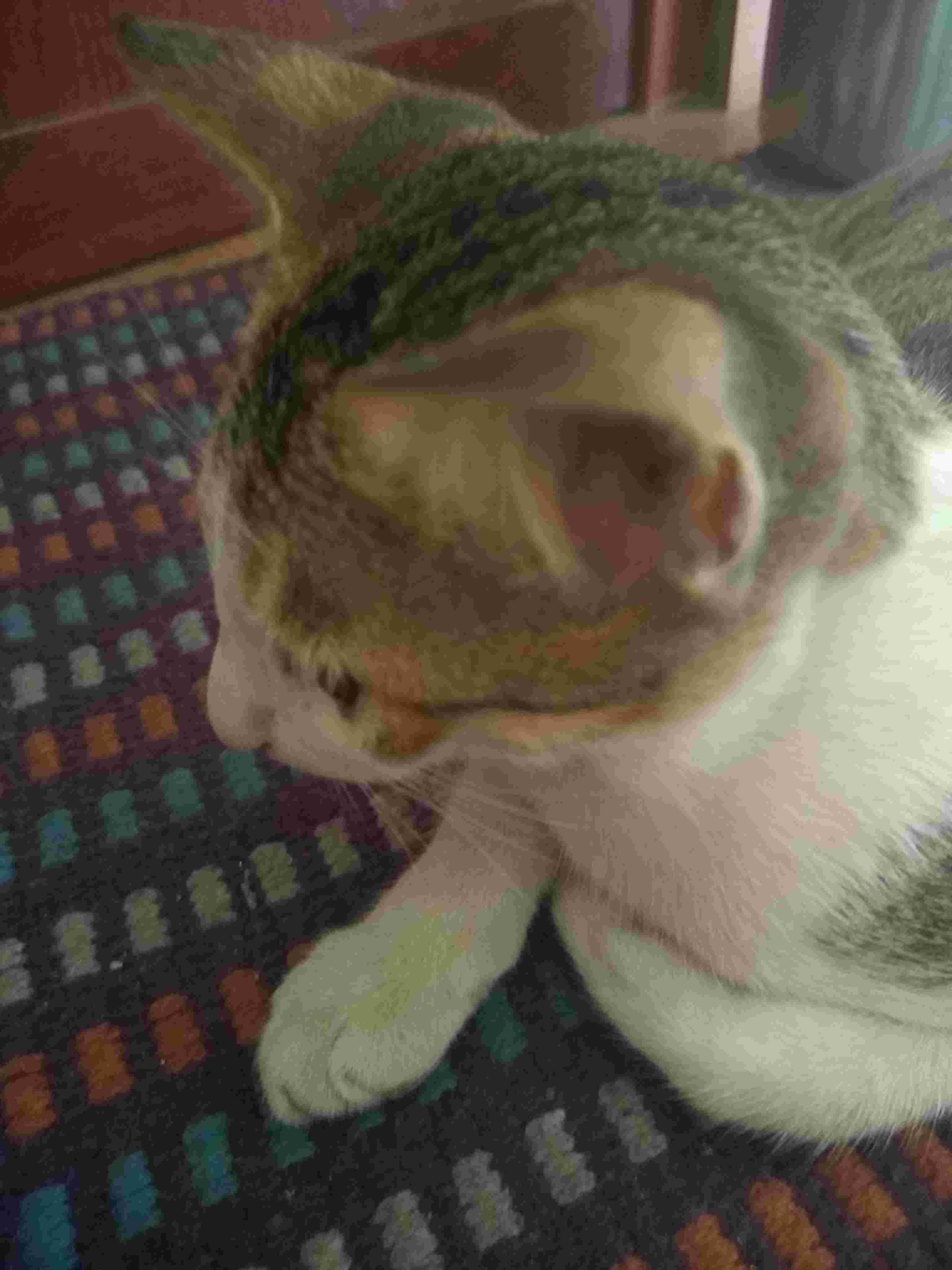 Question details sensitive content