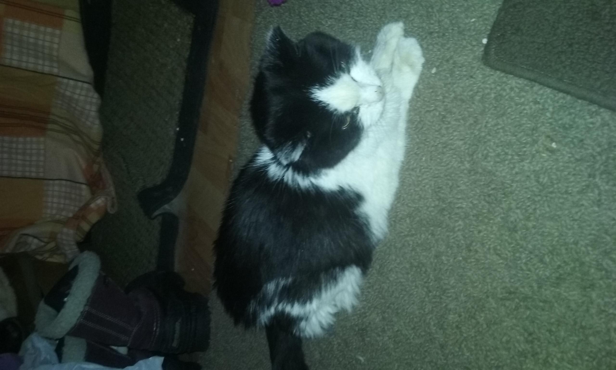 Question details sensitive content