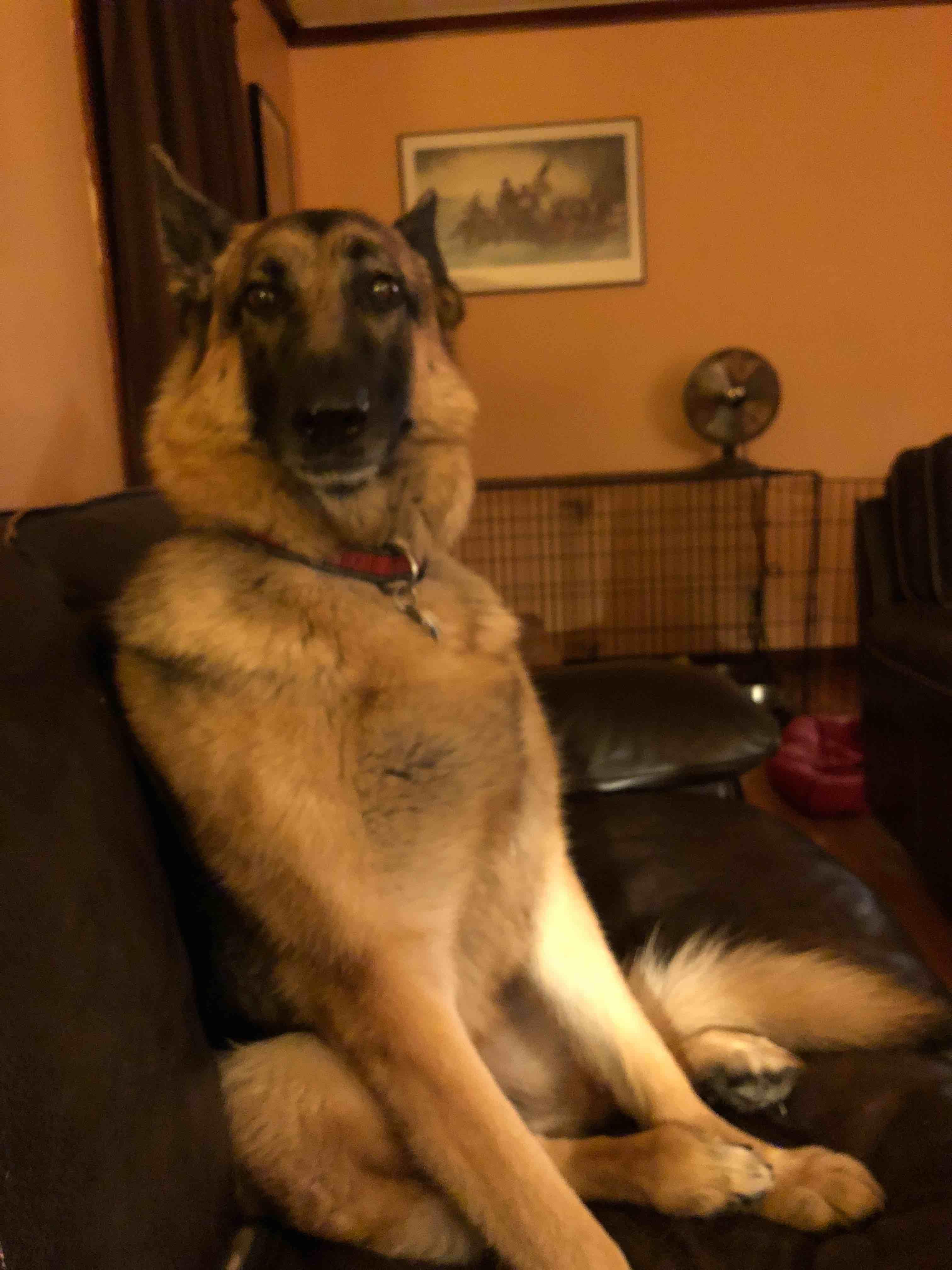 Question details sensitive content