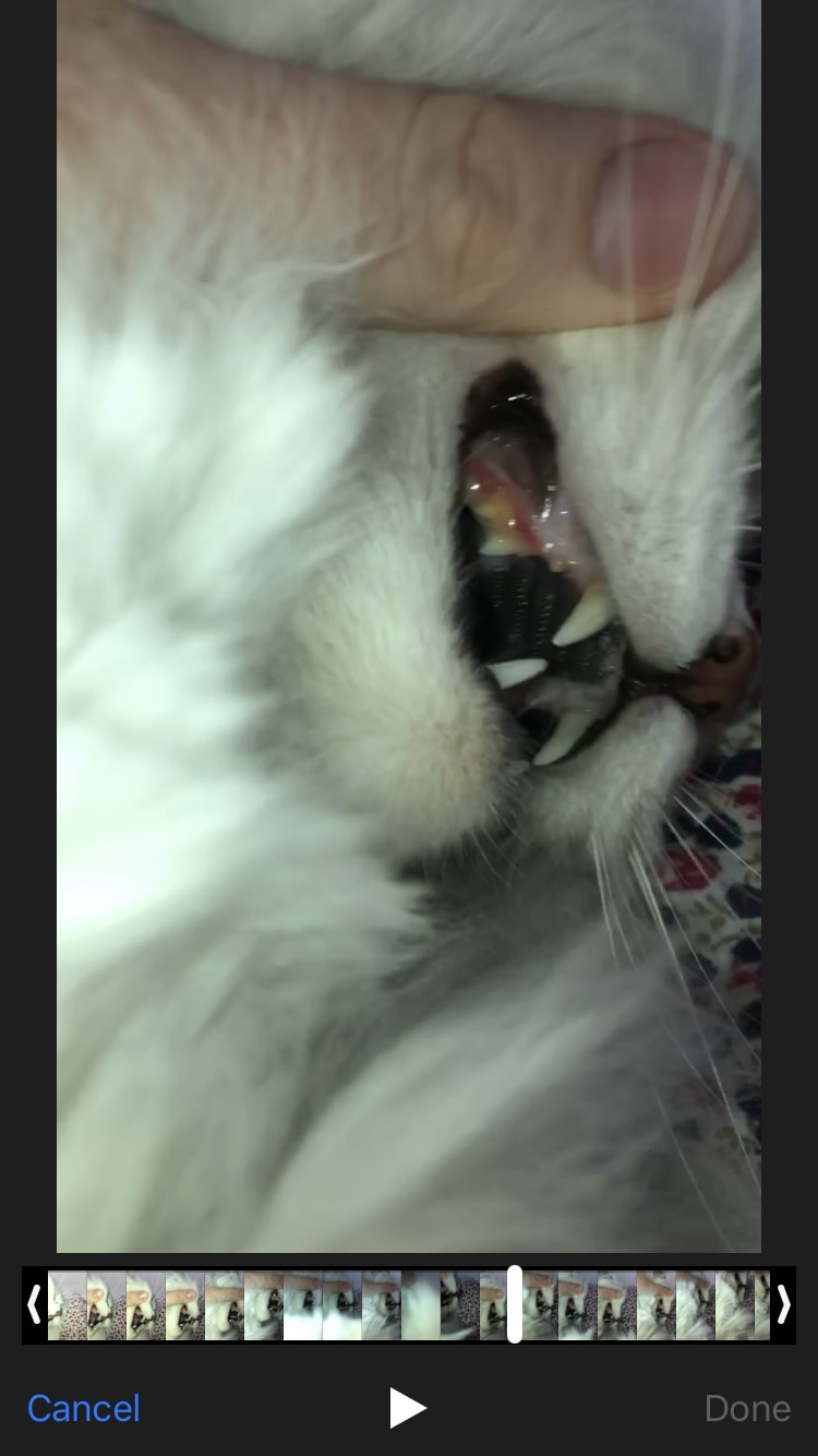 Question details sensitive content