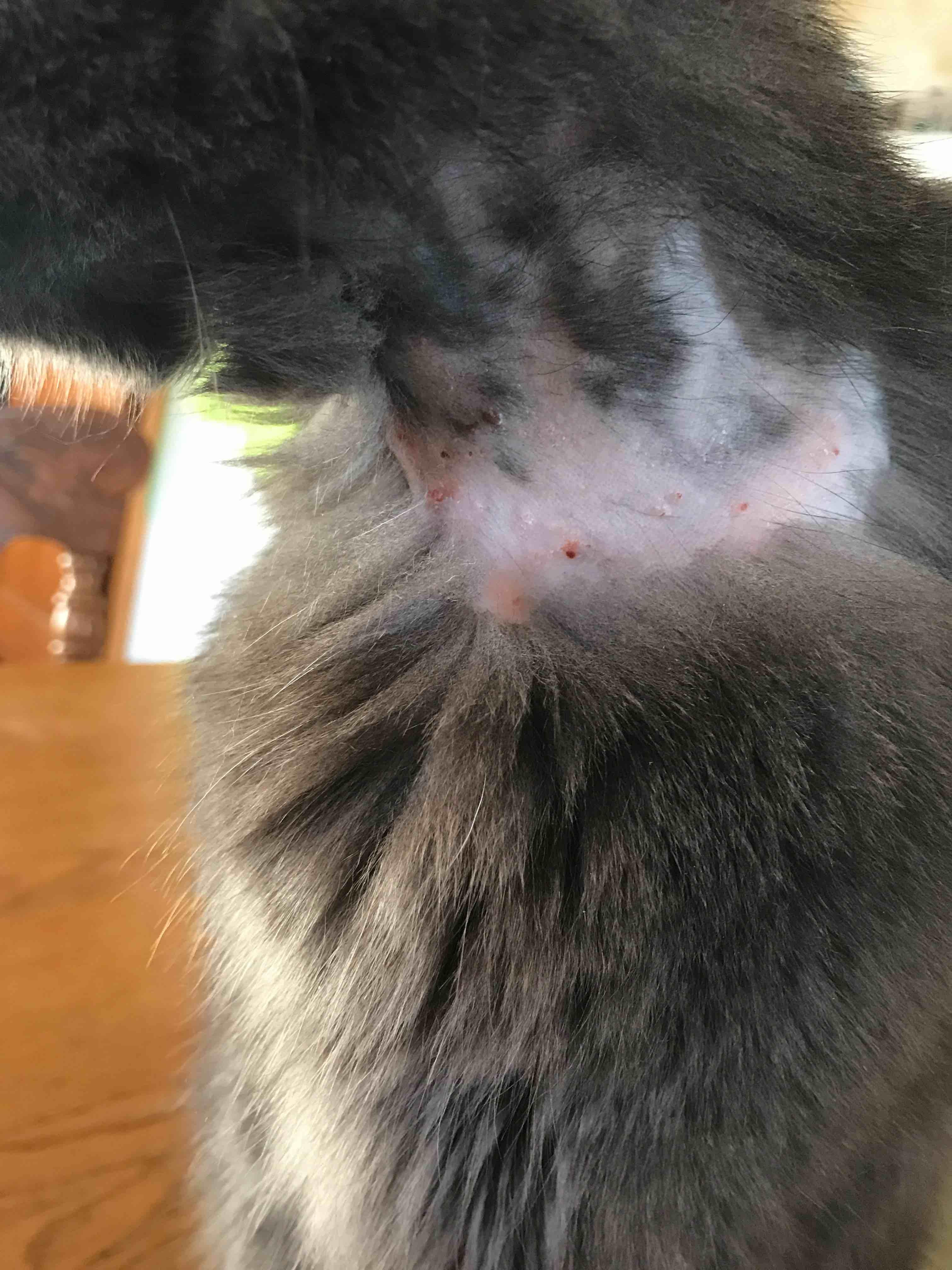 Question details sensitive content