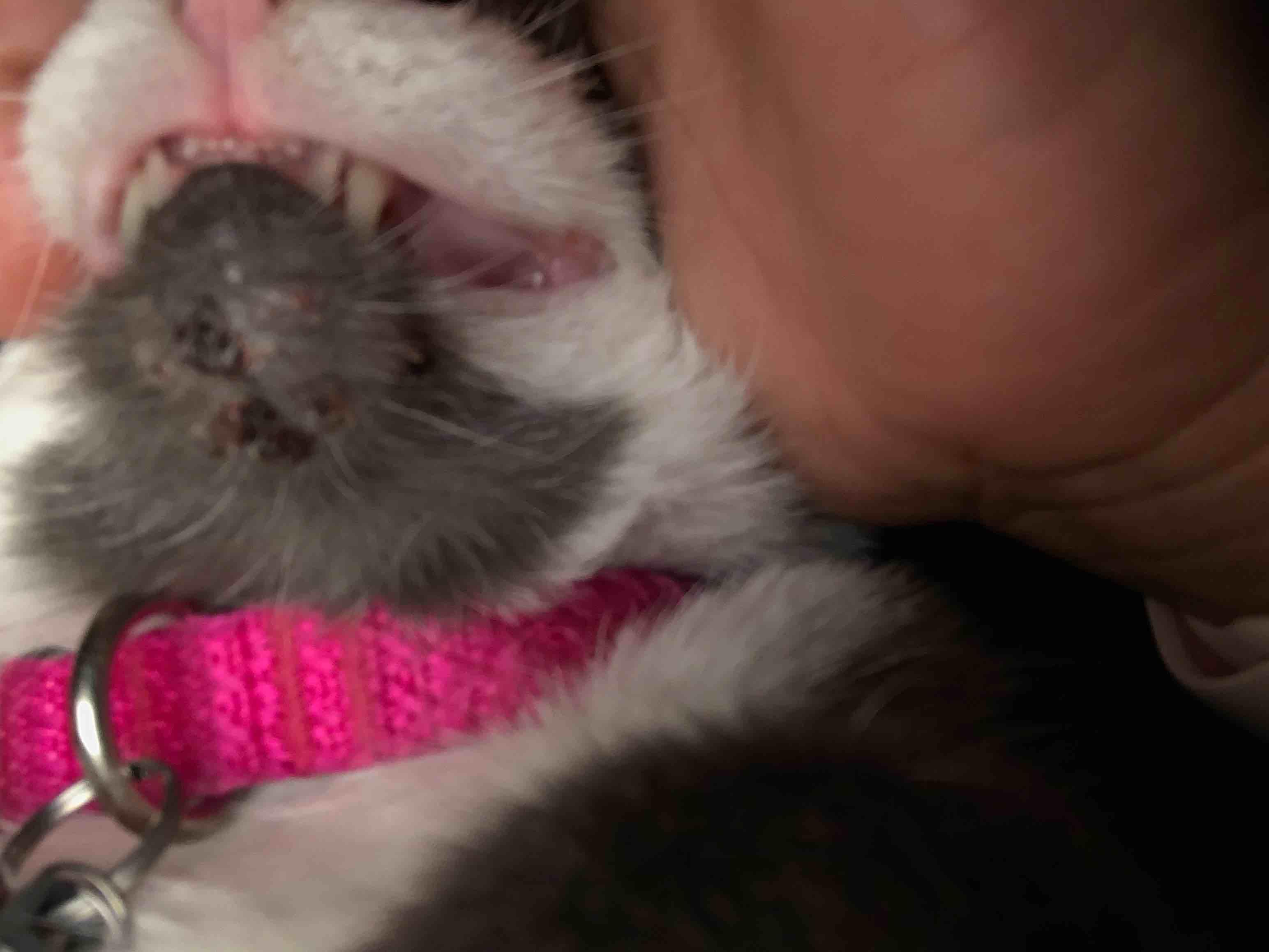 Question details sensitive content