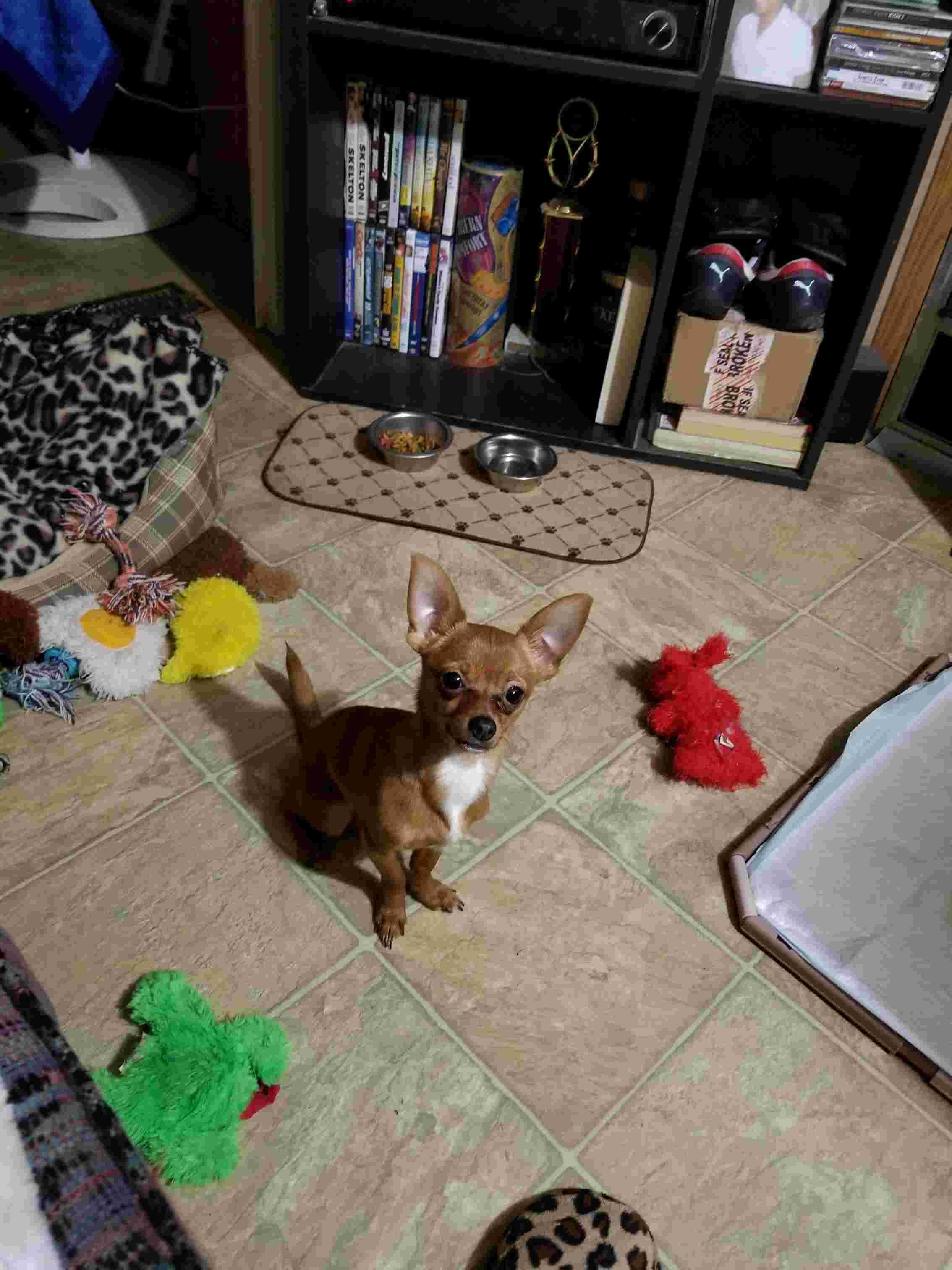 Question details sensitive content