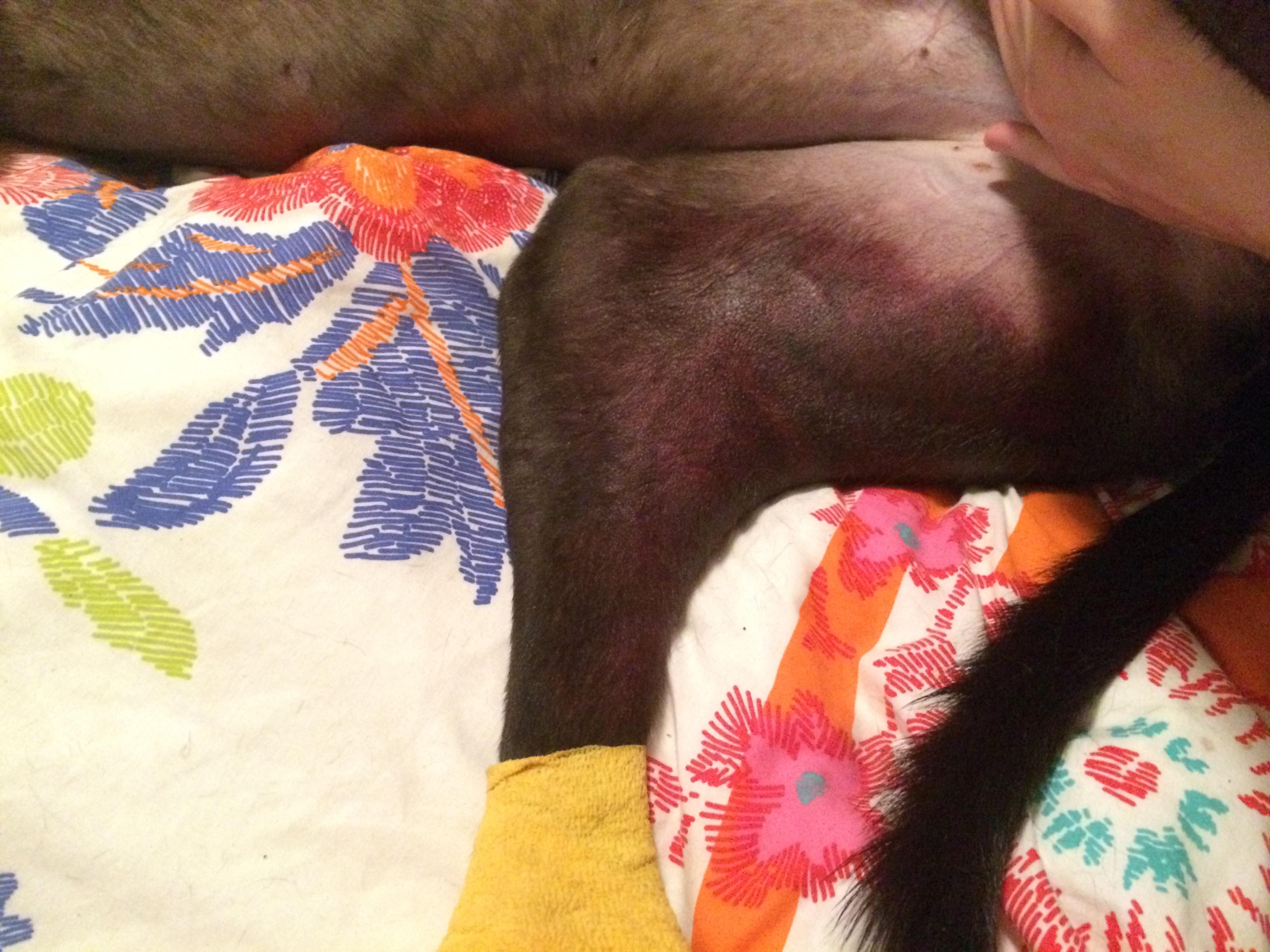 Question details sensitive content