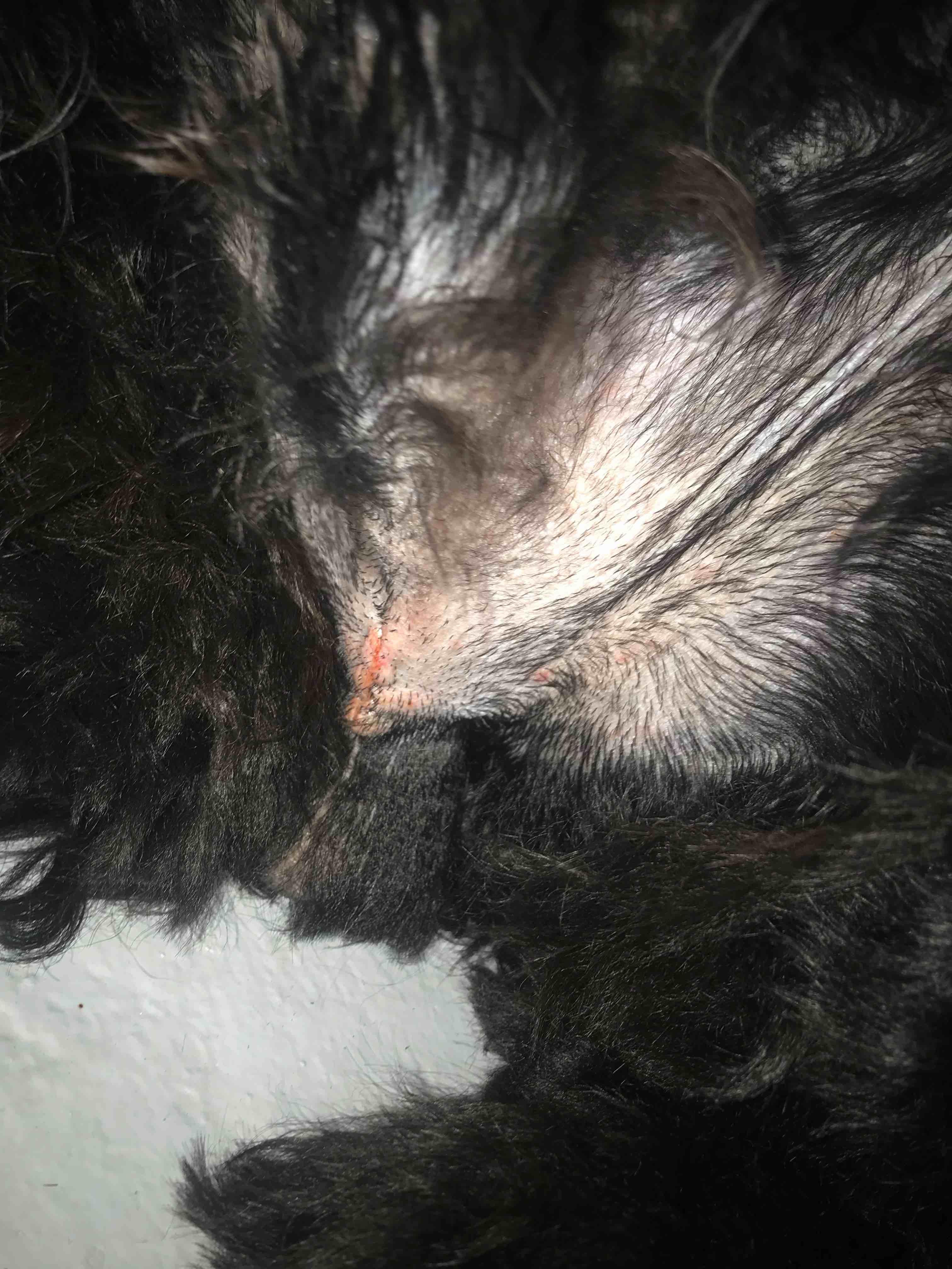 Question details sensitive content