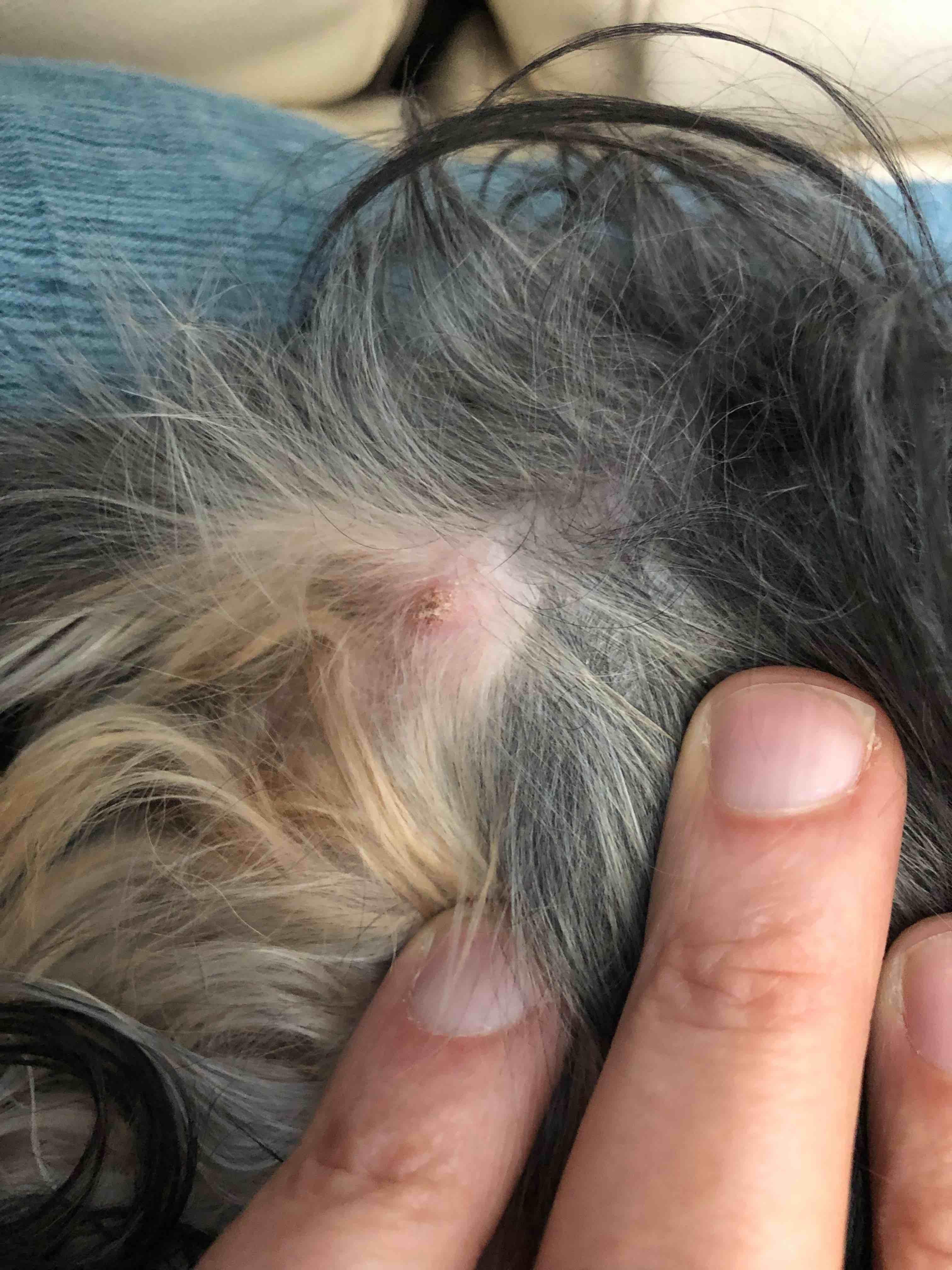 Question details sensitive content