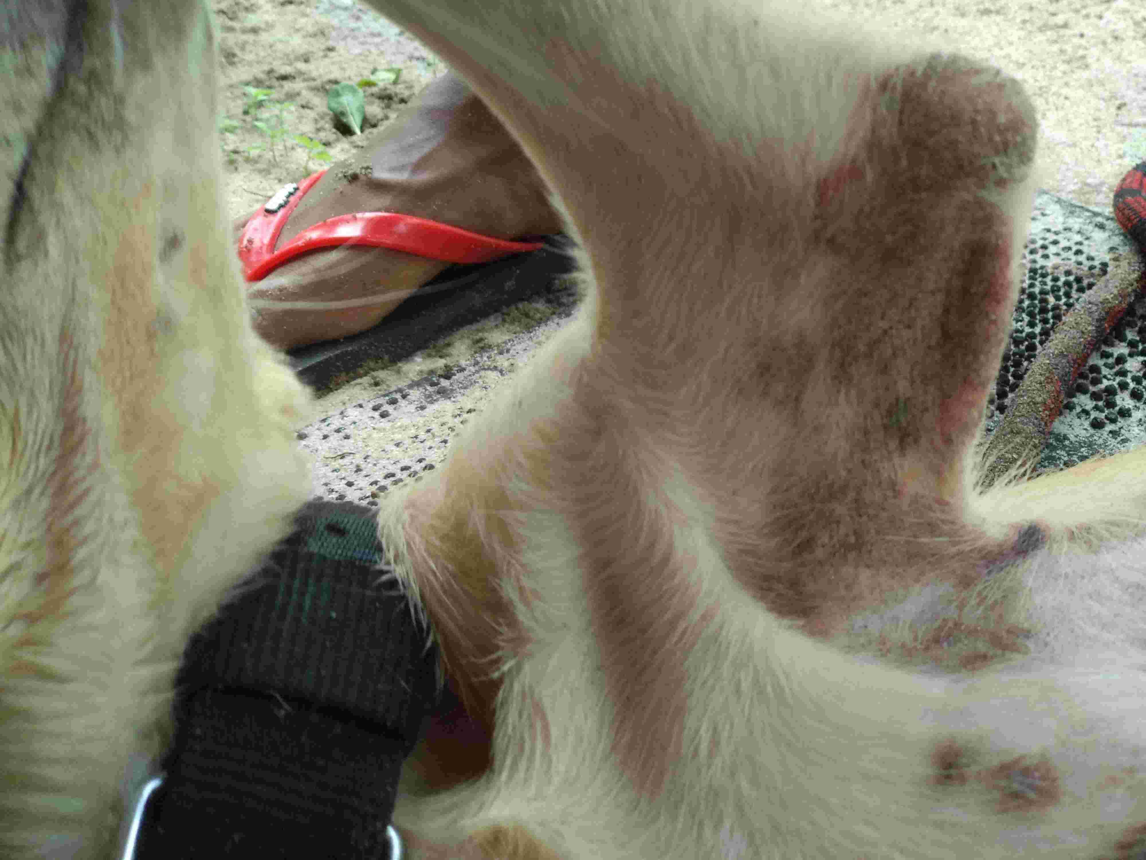 Question details sensitive content