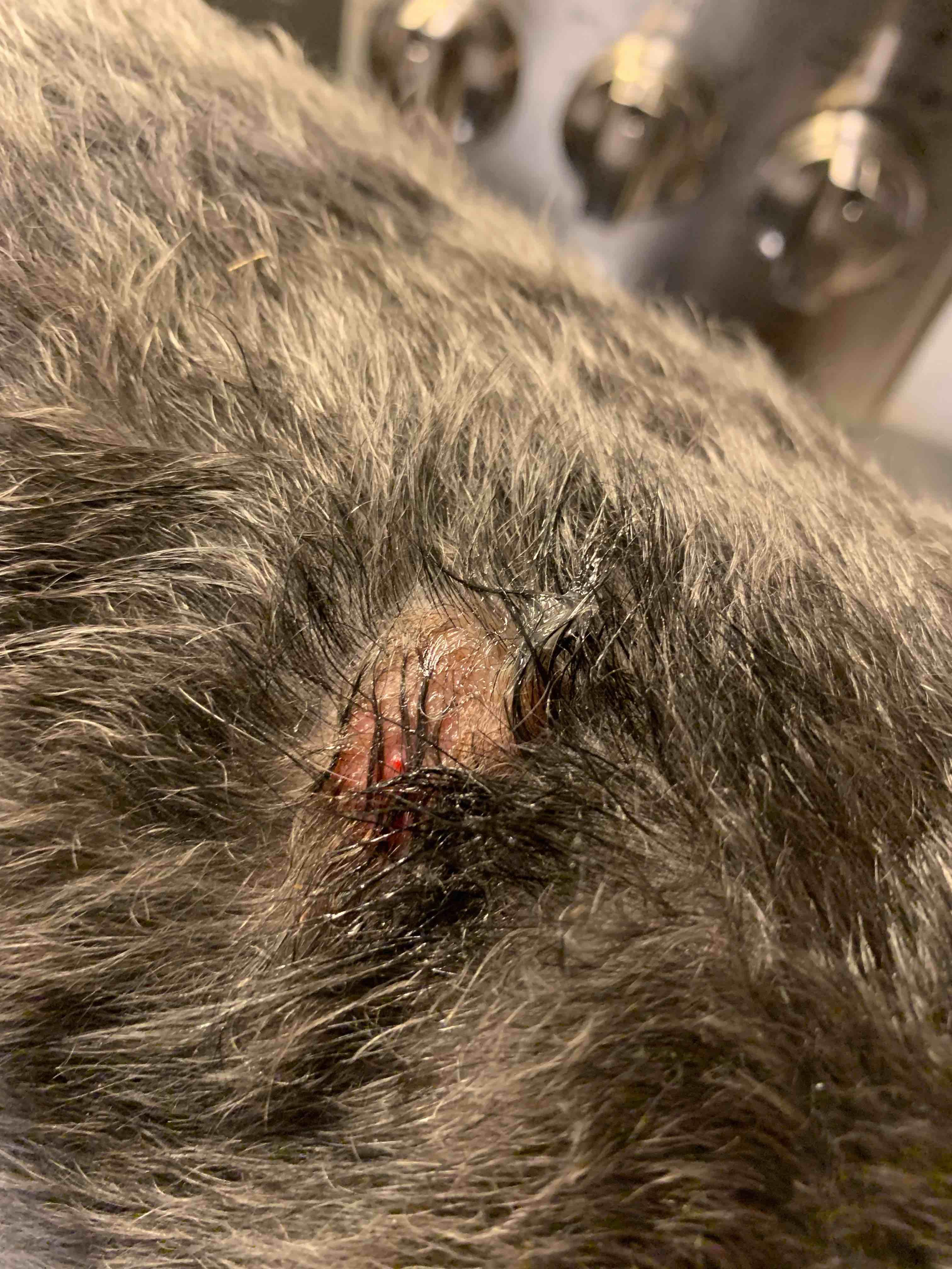 Question details sensitive content