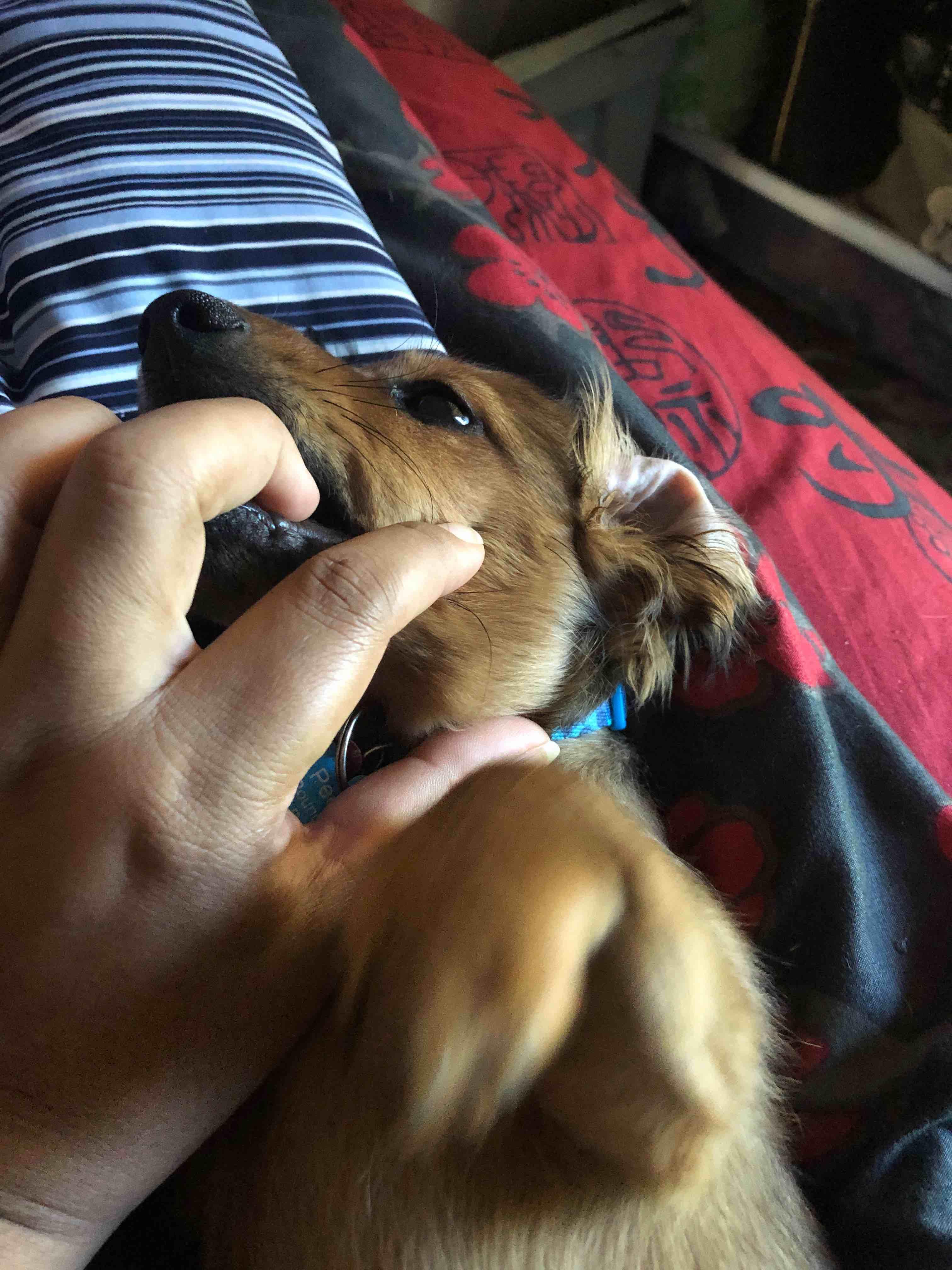 Question details sensitive content