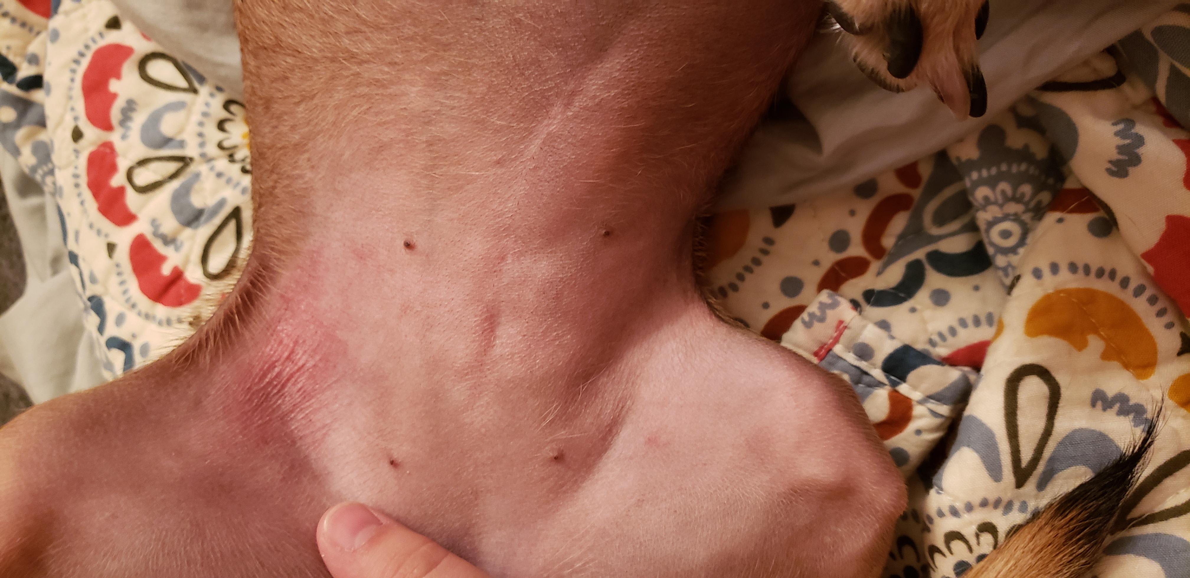 Question details sensitive content