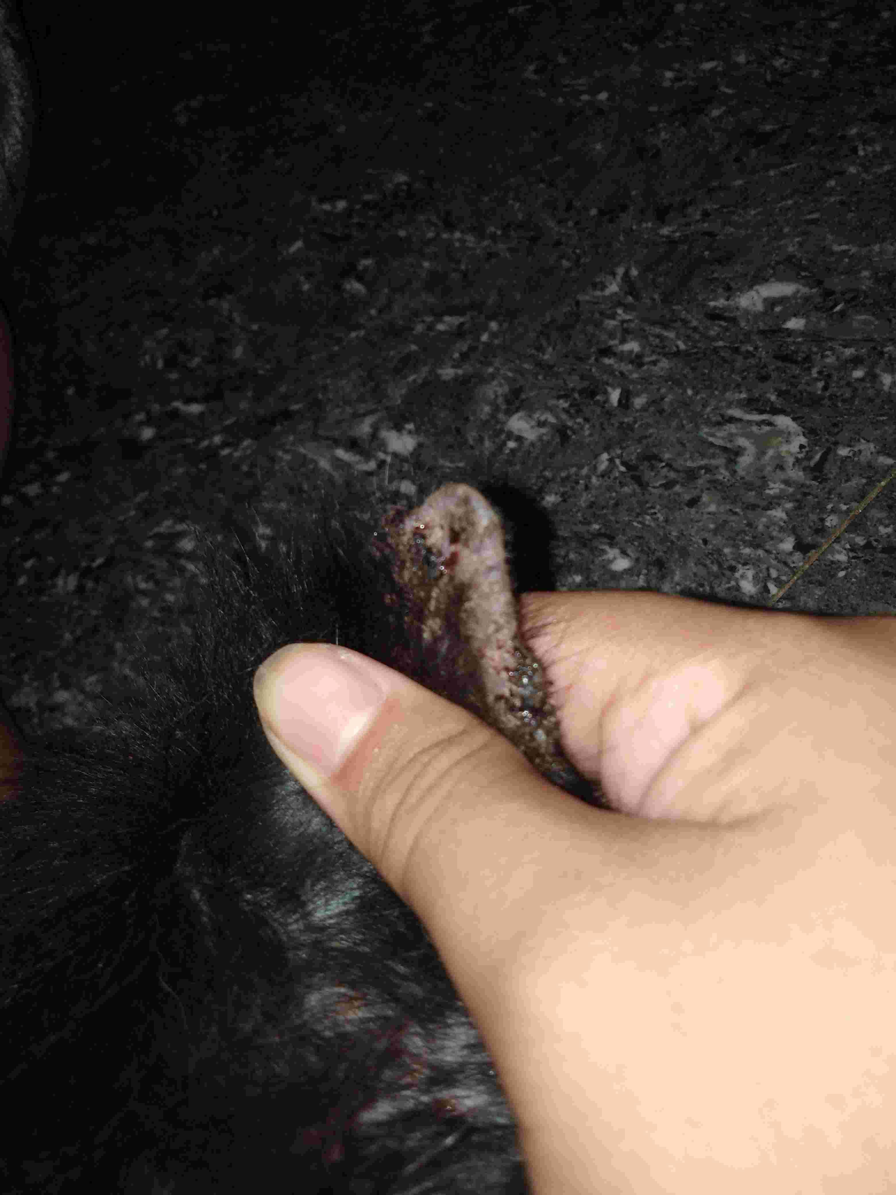 Question details sensitive content