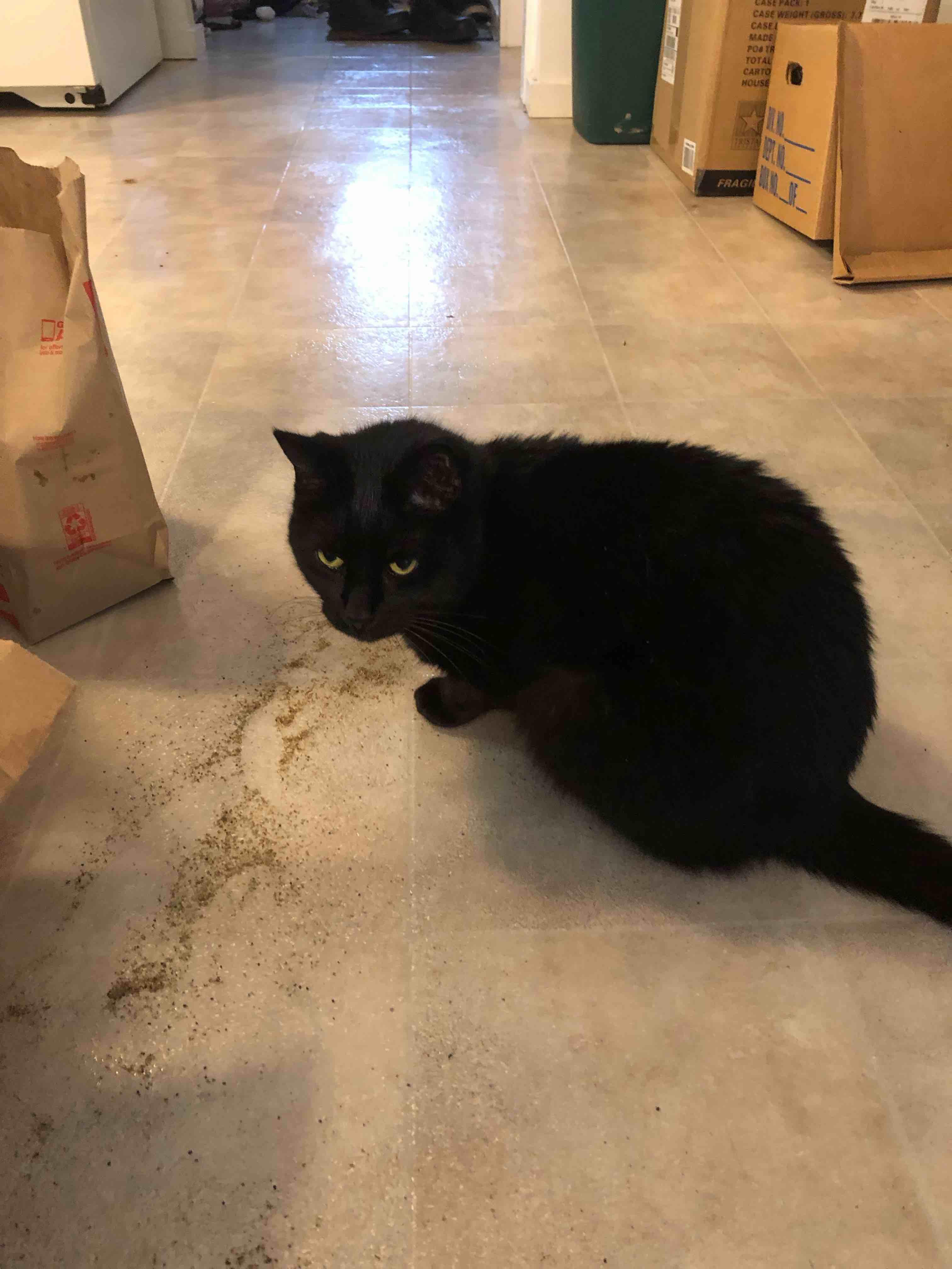 Question details sensitive content