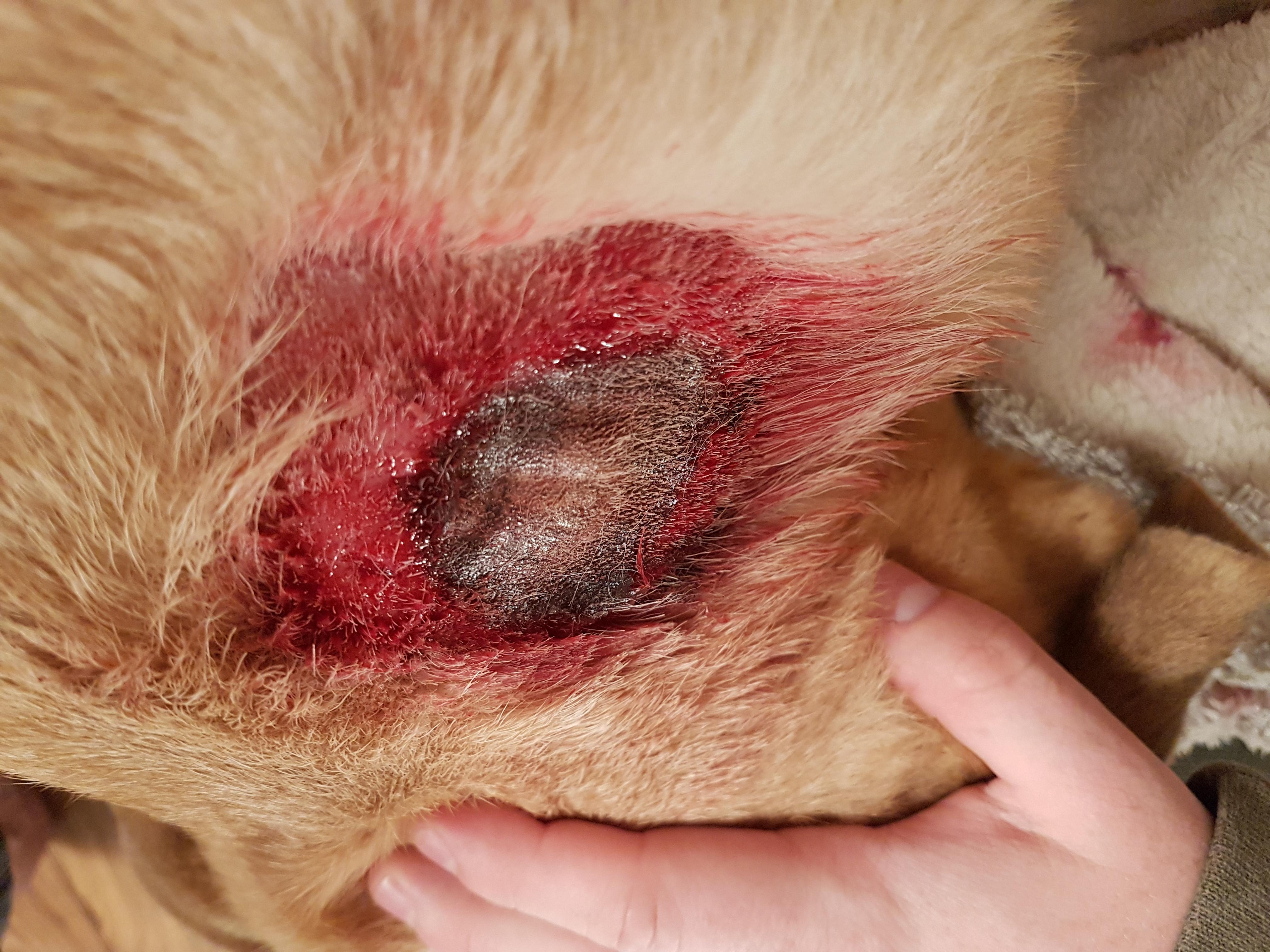 Question details sensitive content