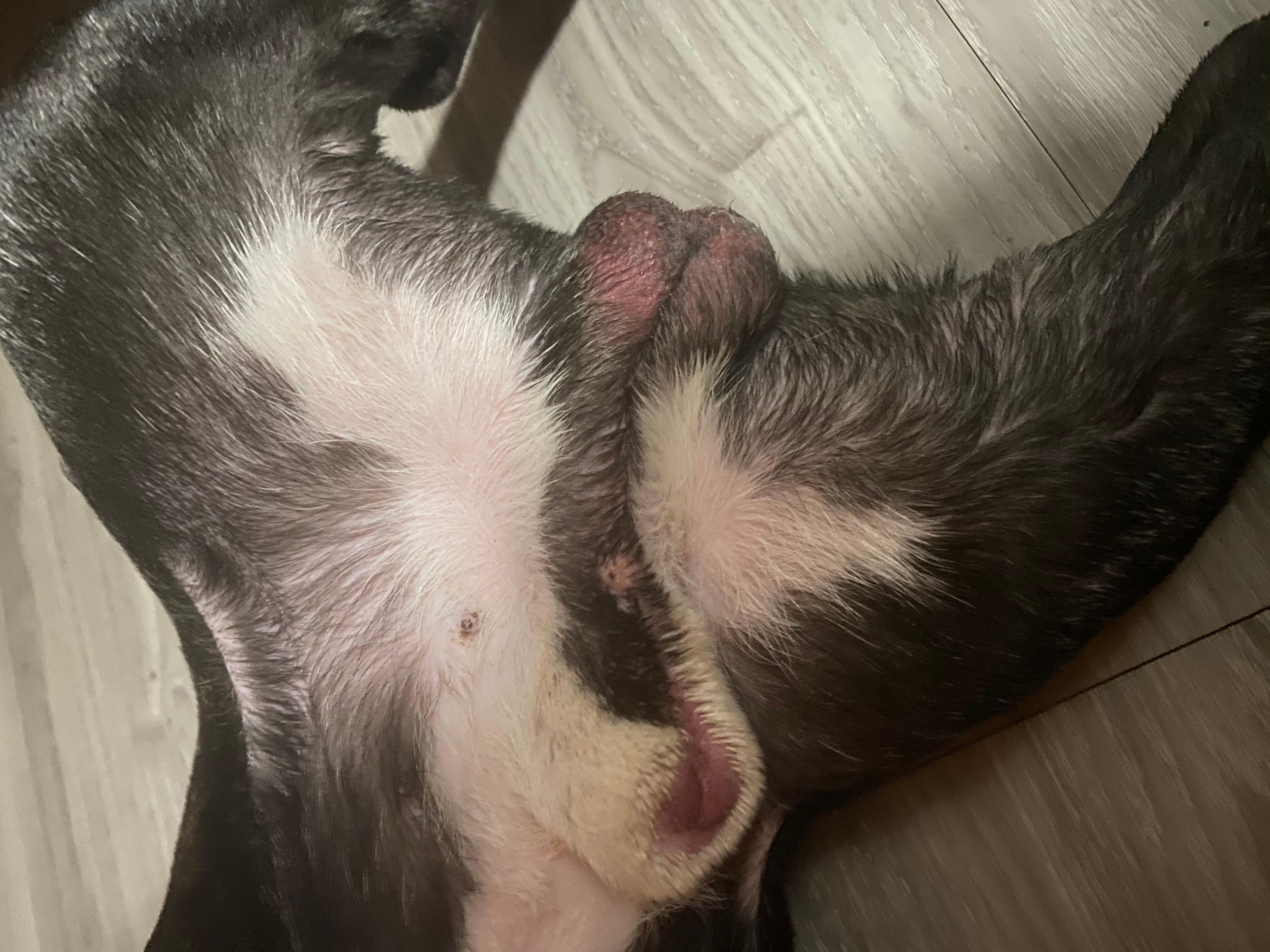 Question details sensitive content