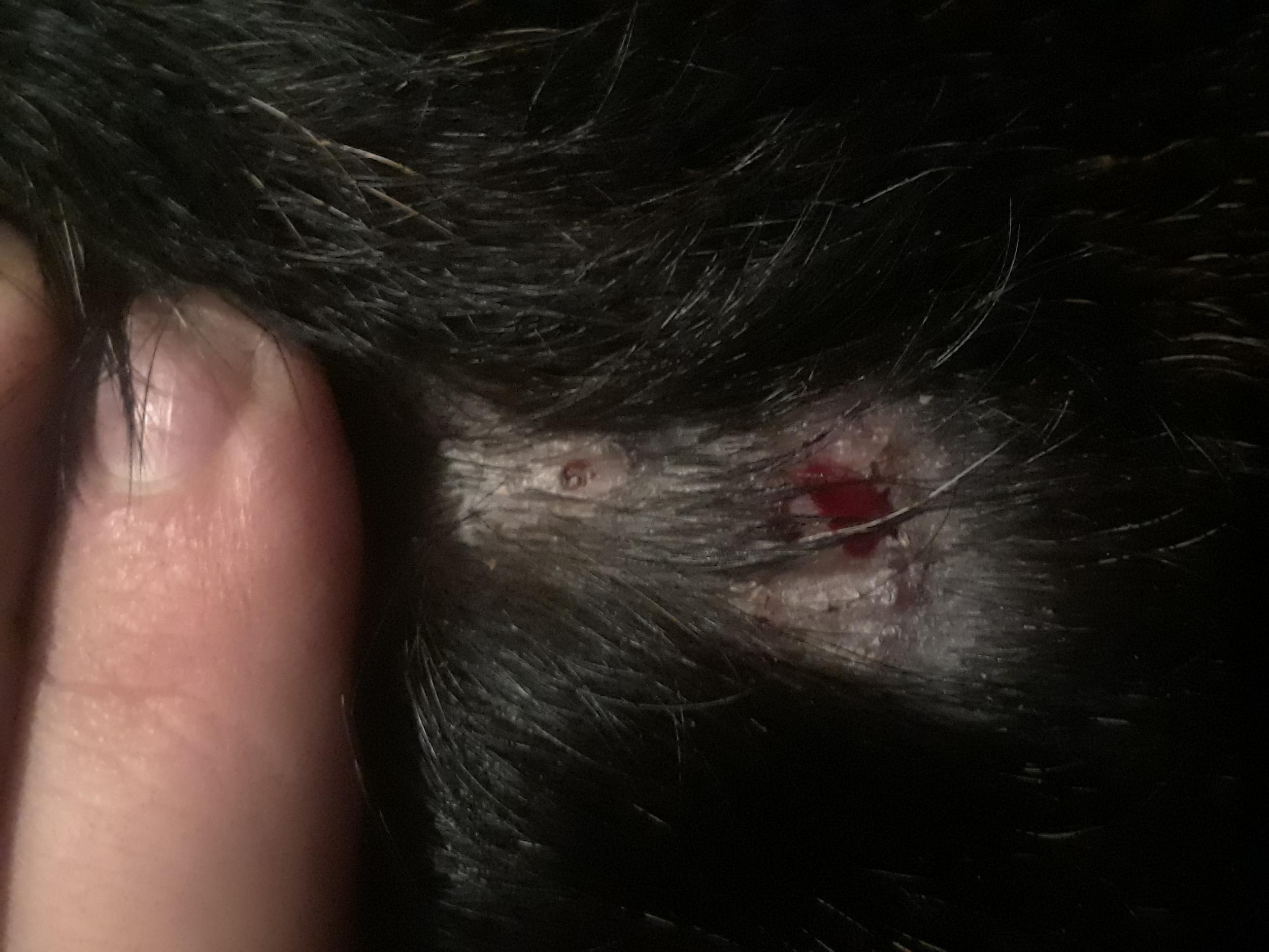 Question details sensitive content