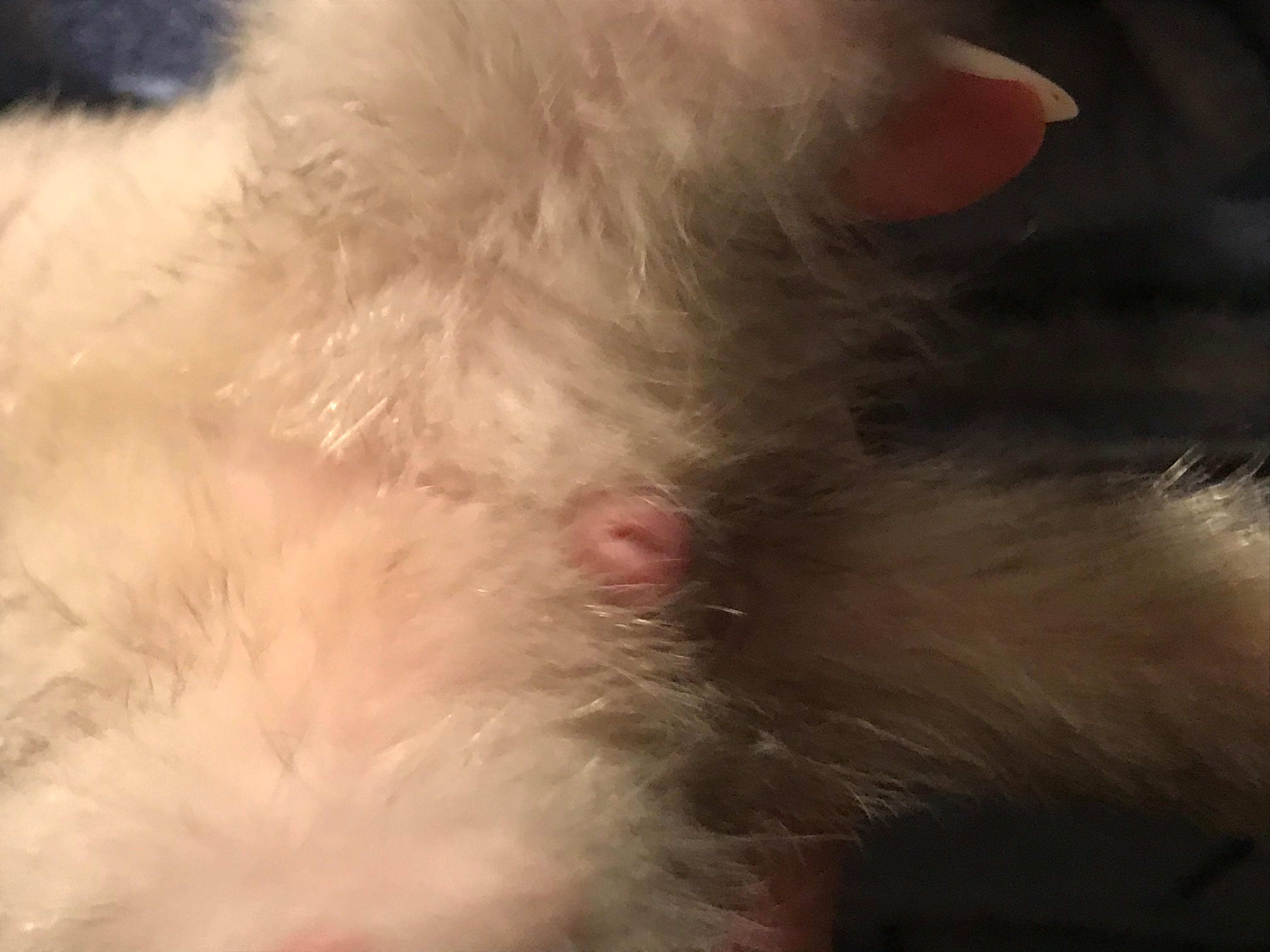 Question details sensitive content