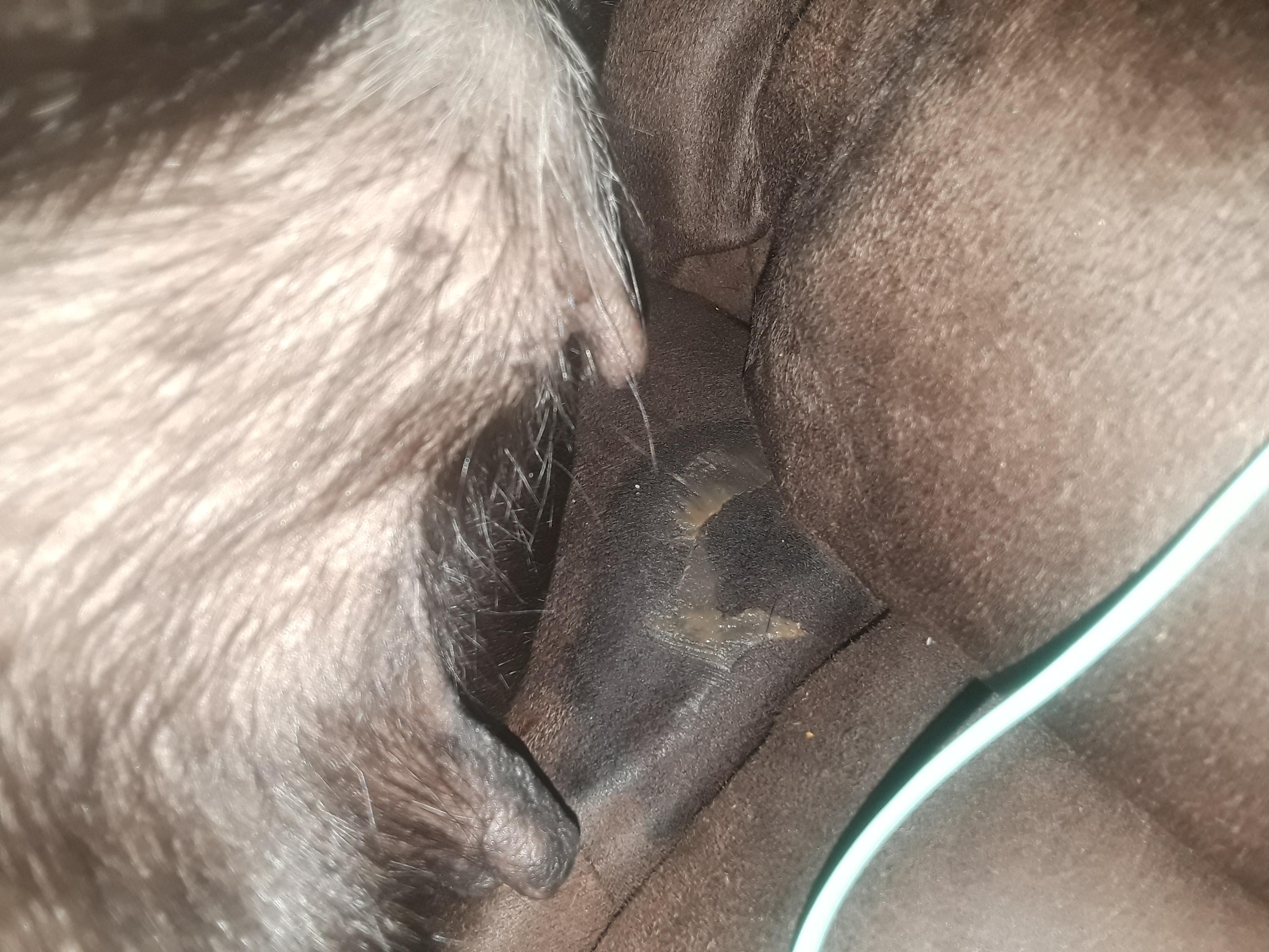 Question details sensitive content