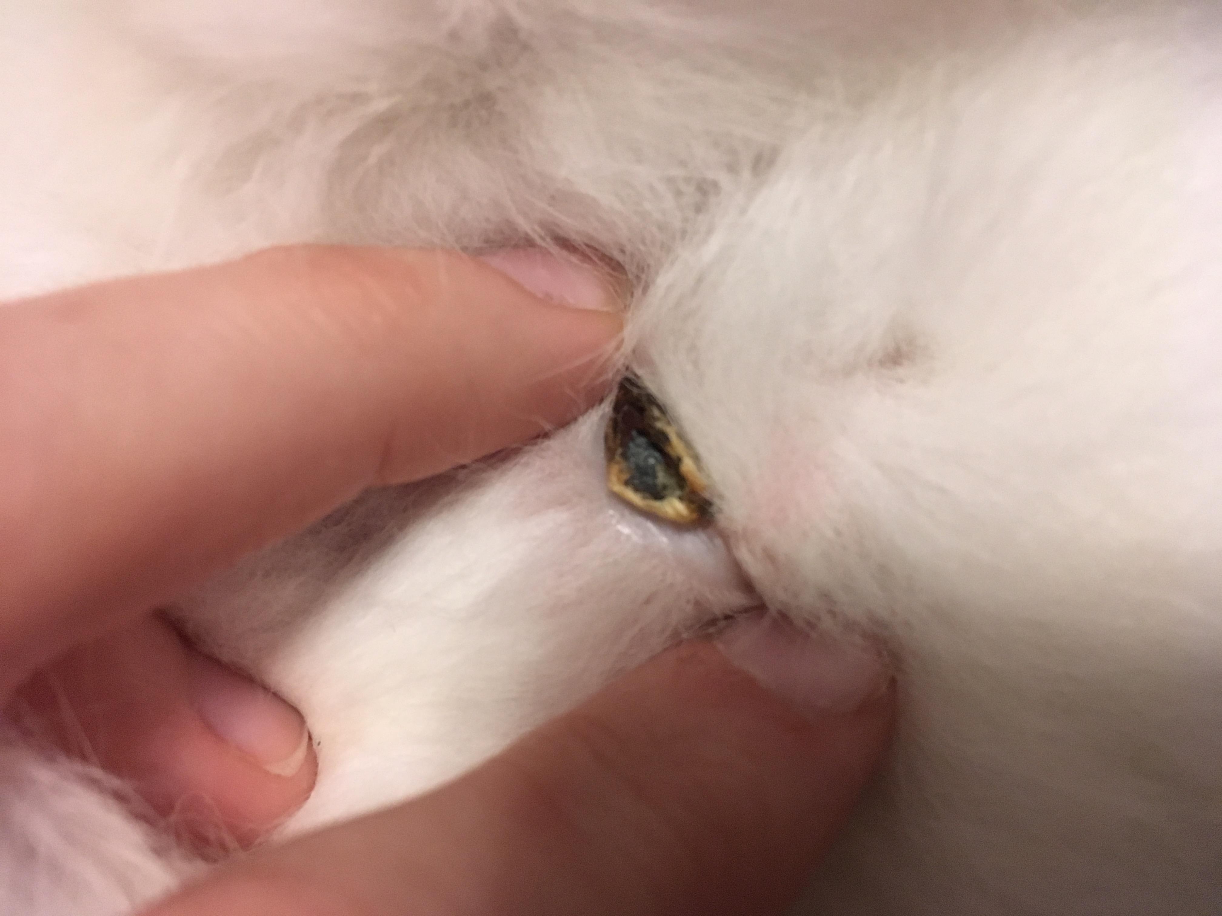 Question details sensitive content