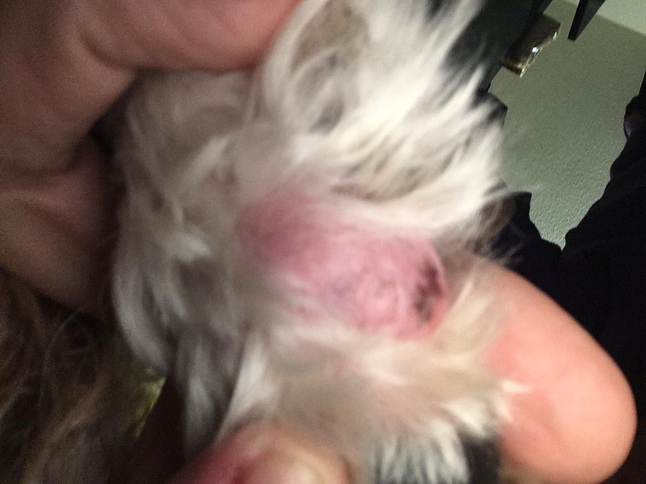 Question details sensitive content