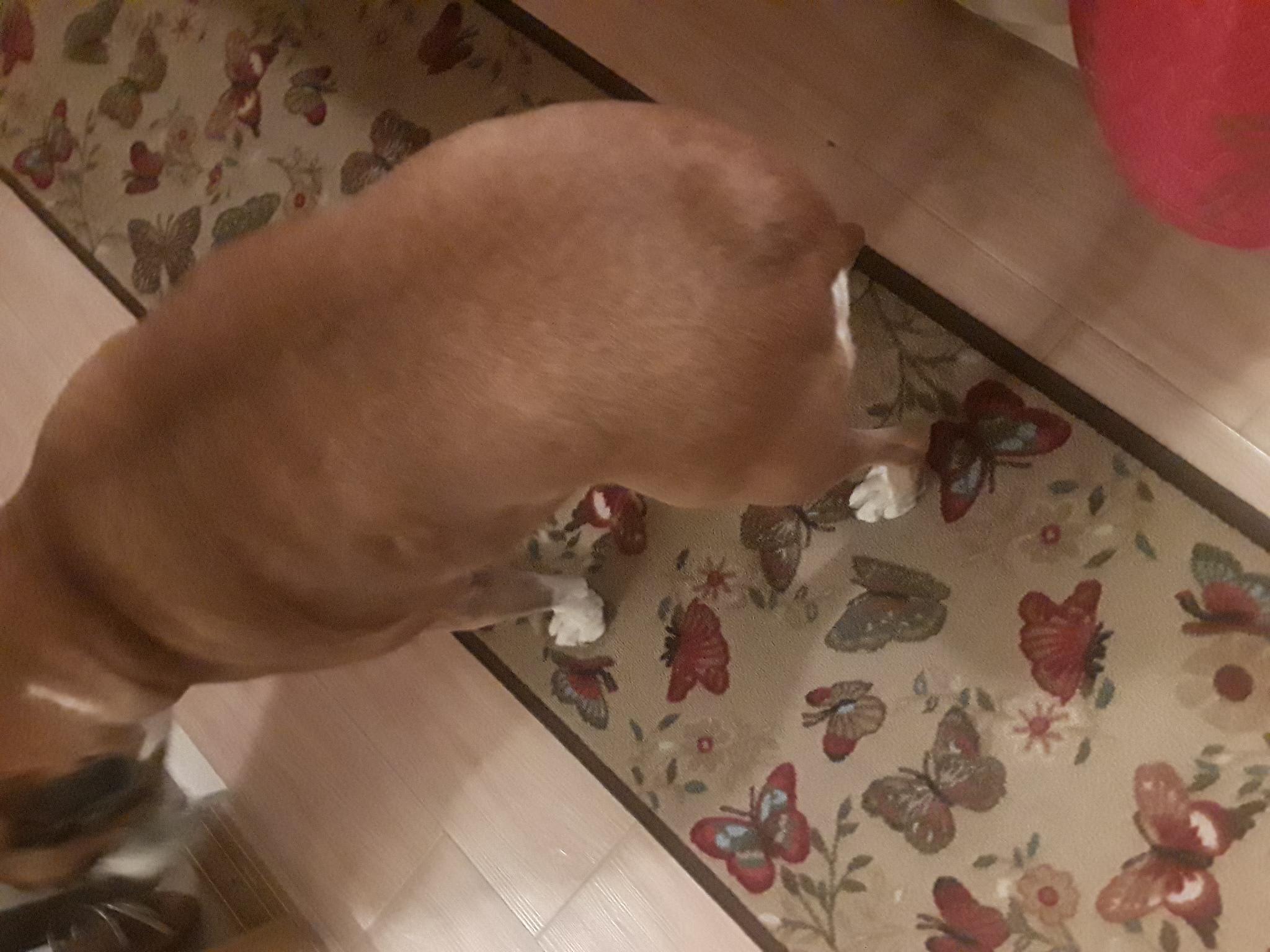 Question details sensitive content