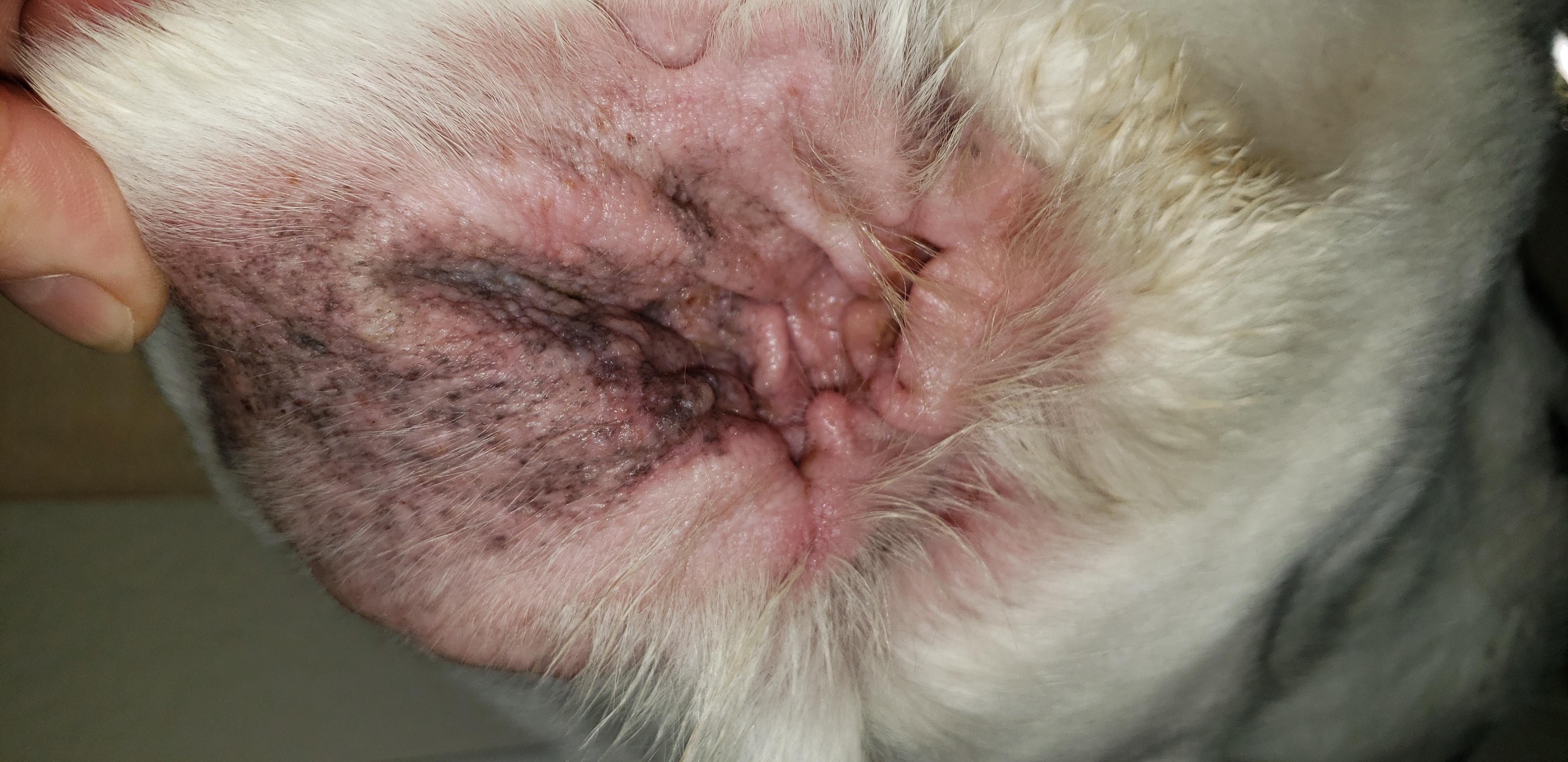 Question details sensitive content