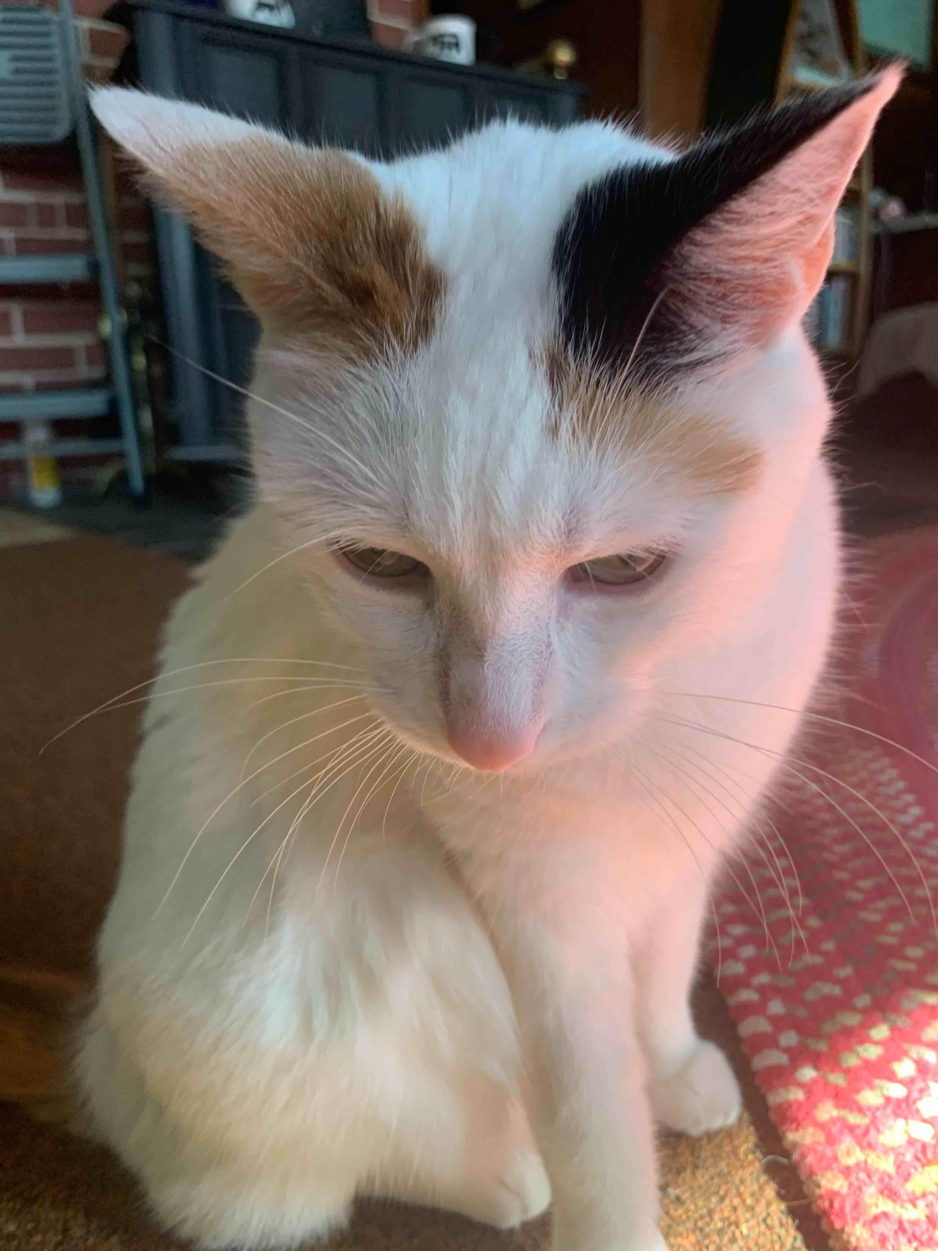 Question details sensitive content