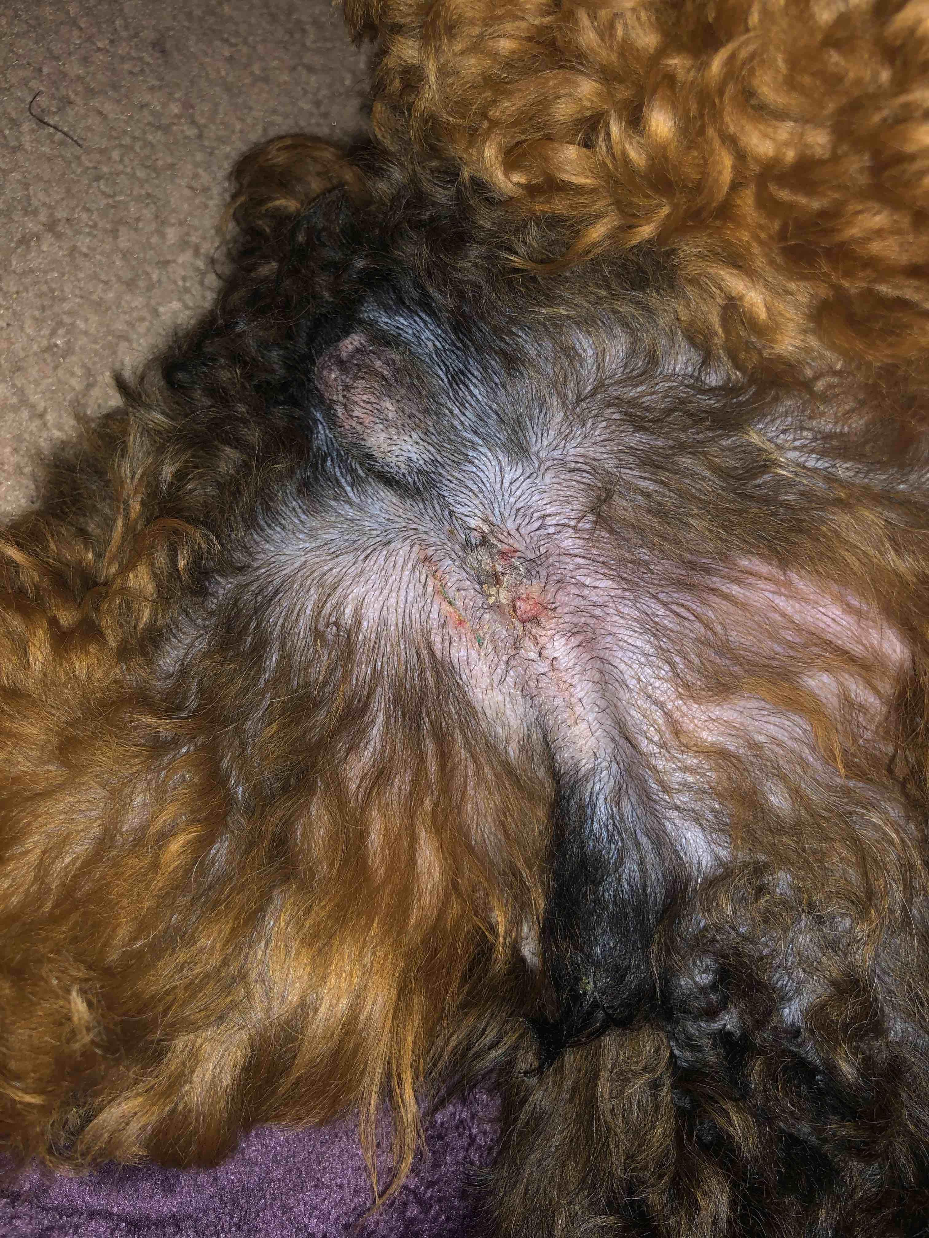 Question details sensitive content