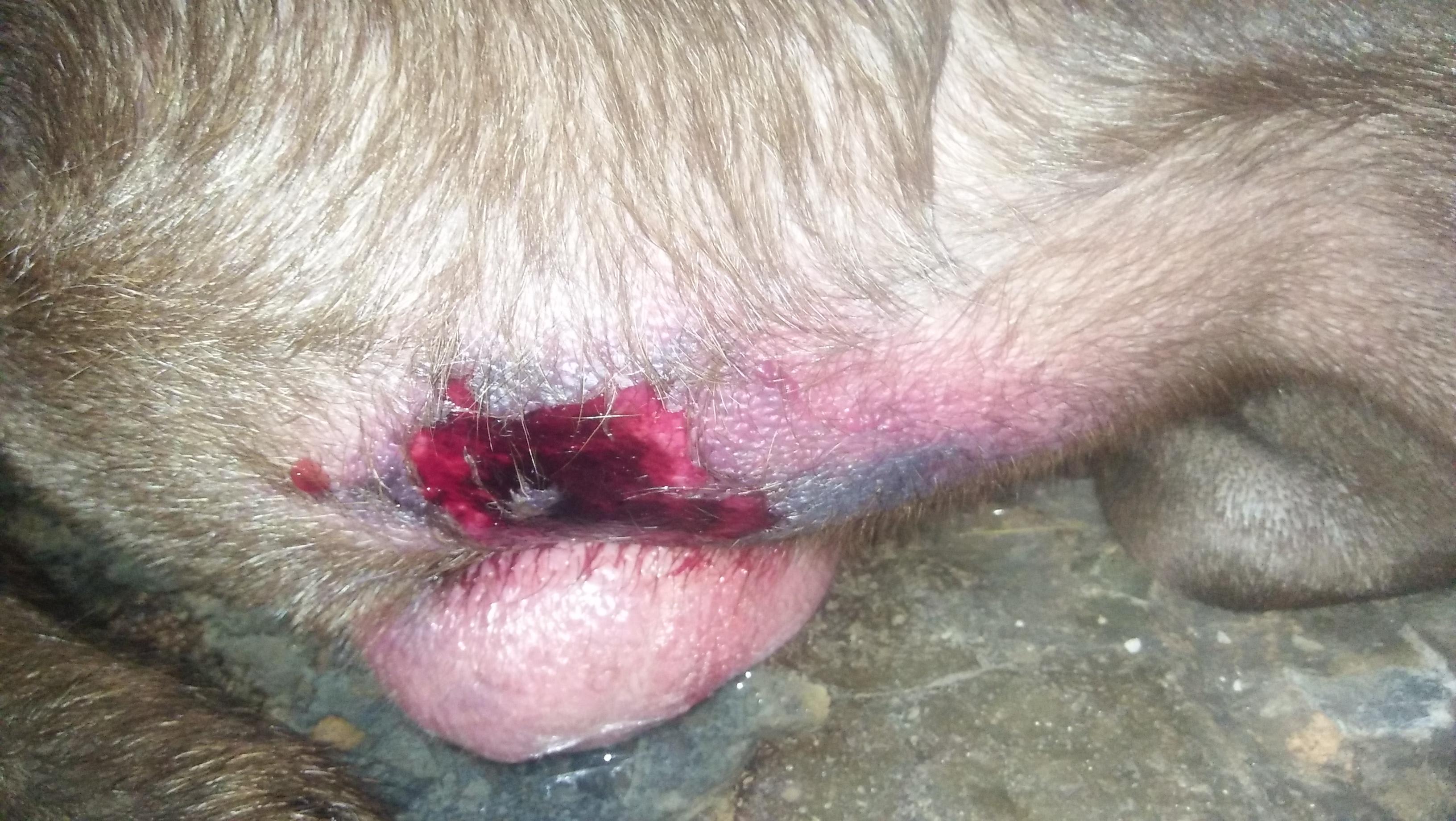 Question details sensitive content