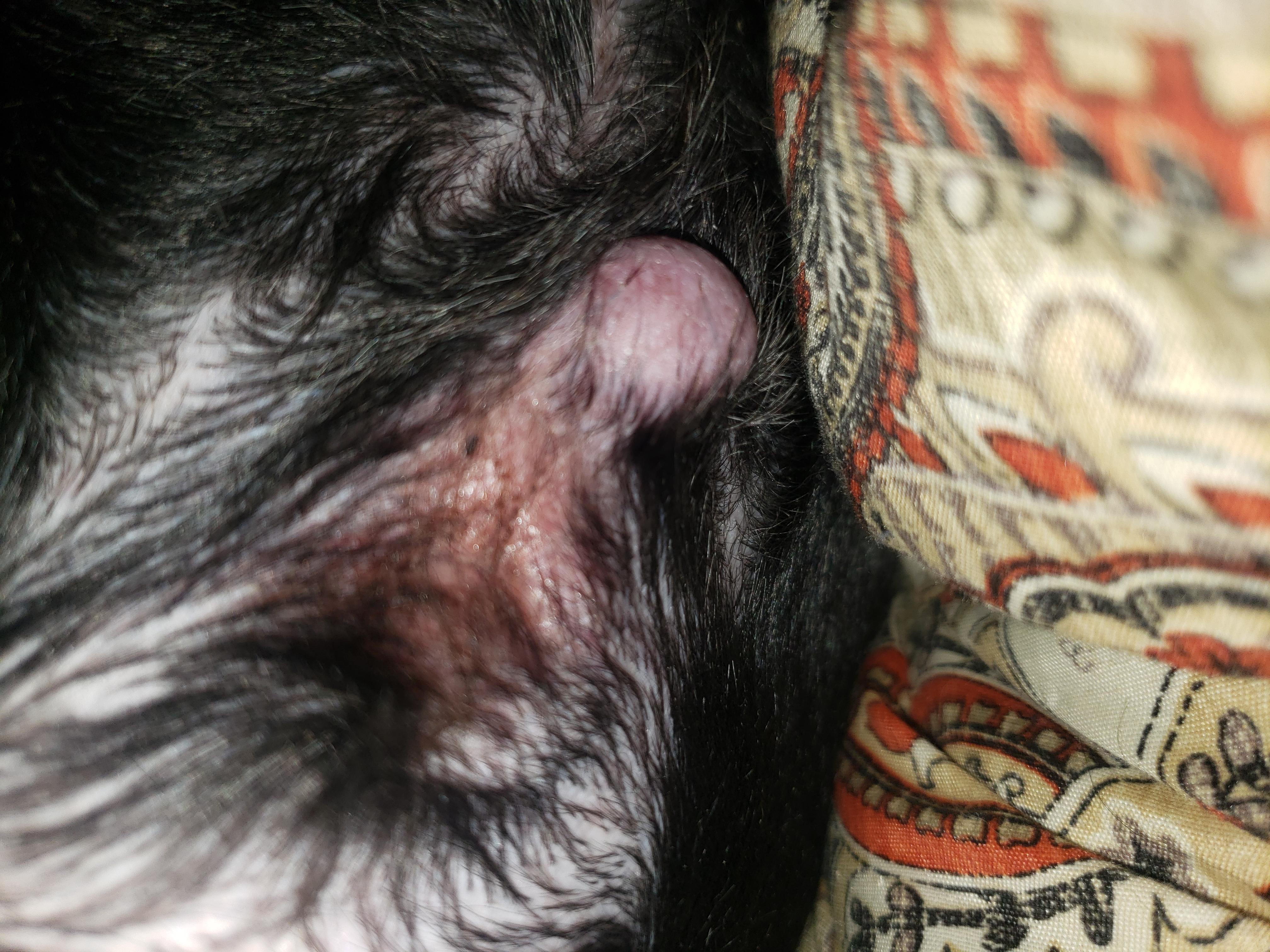 Question details sensitive content