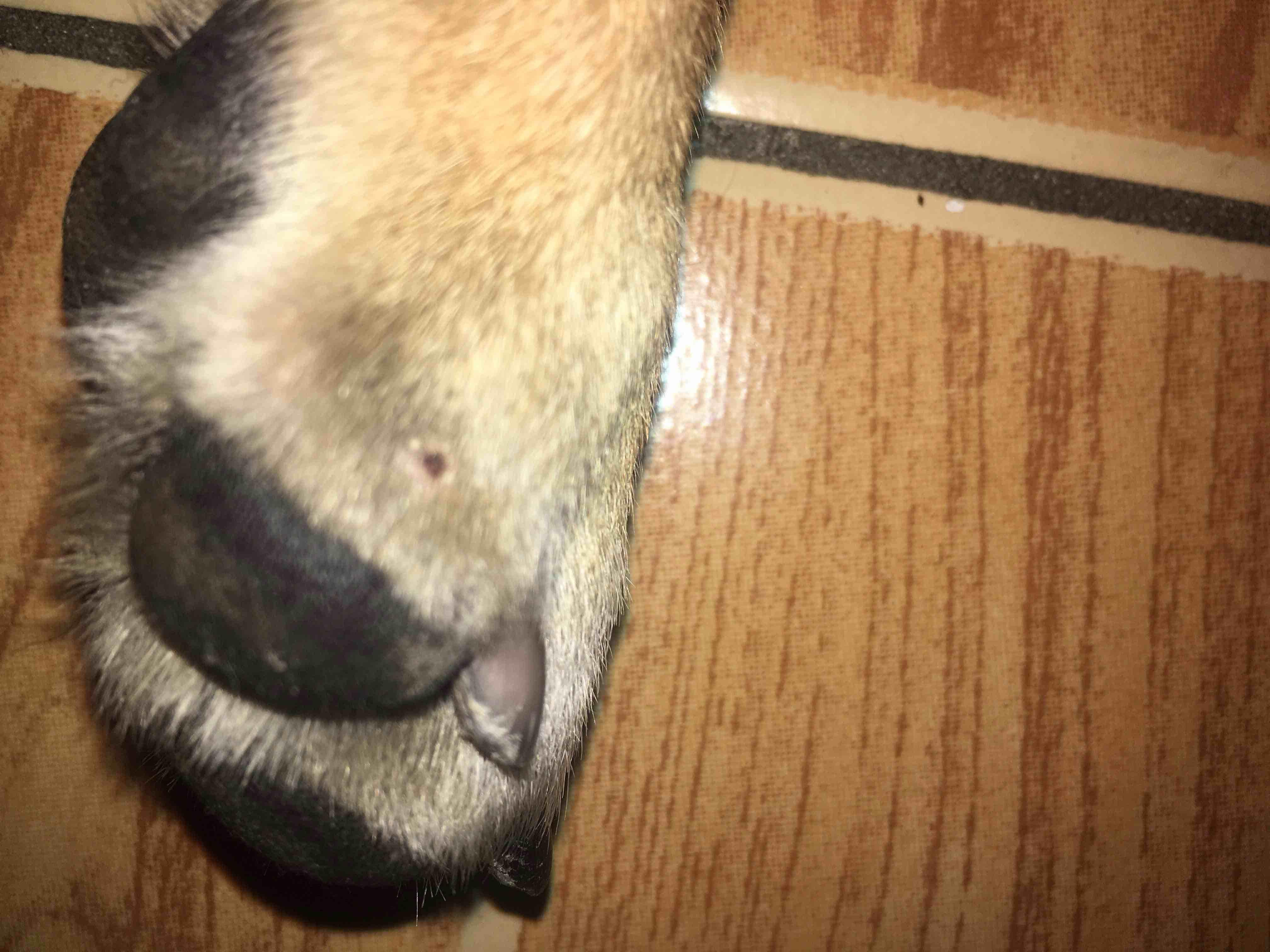 Question details sensitive content