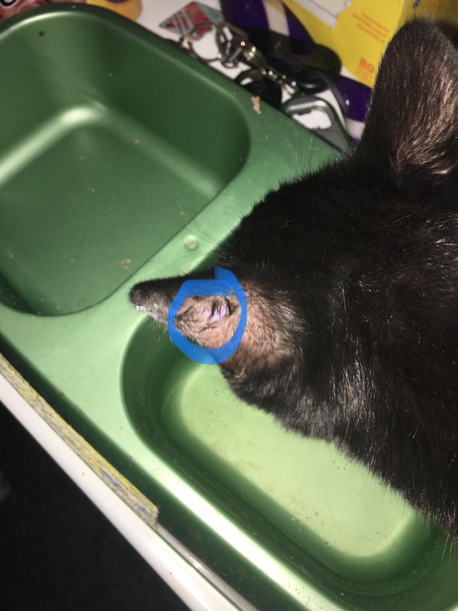 Question details sensitive content