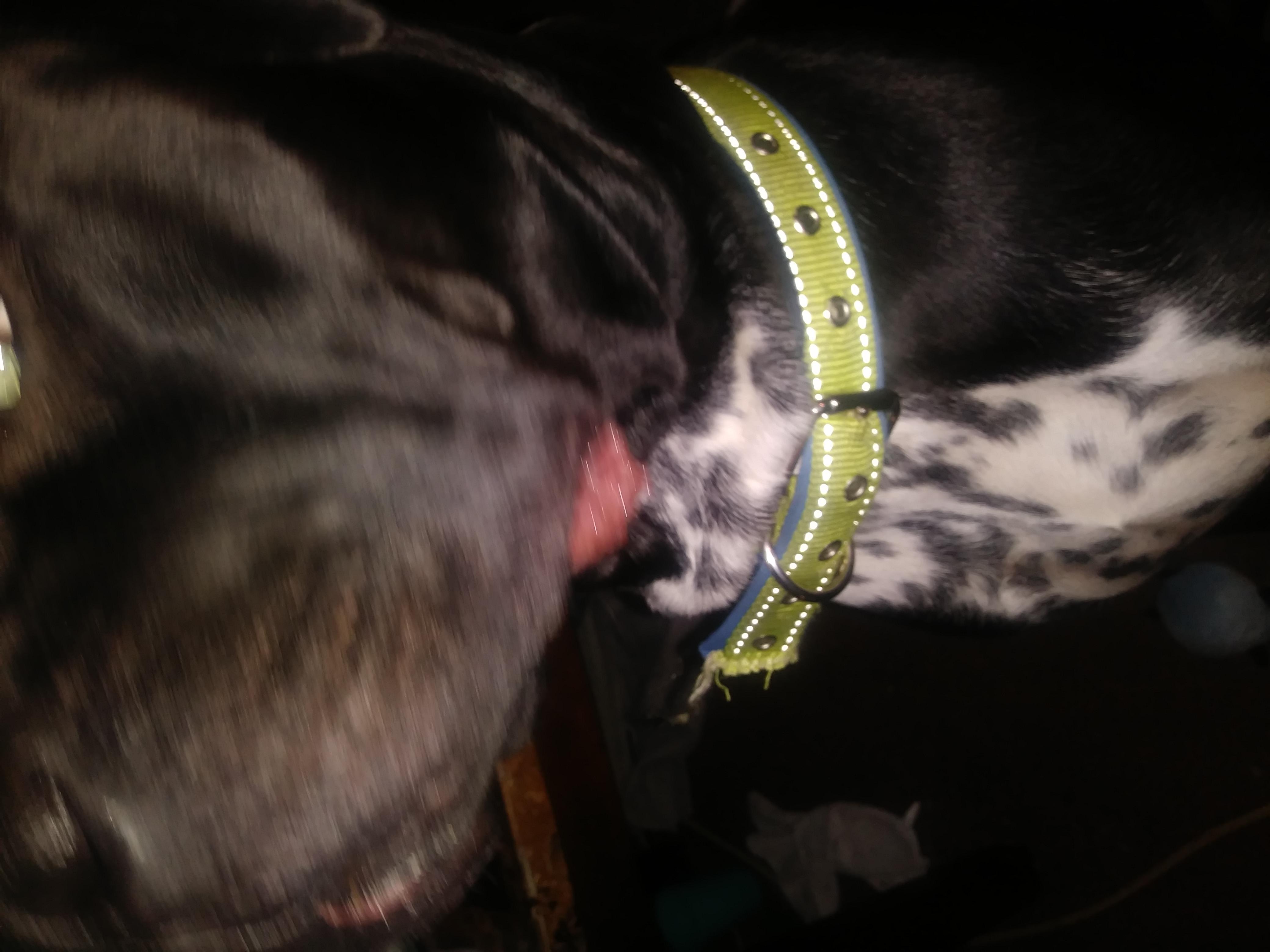 Question details sensitive content