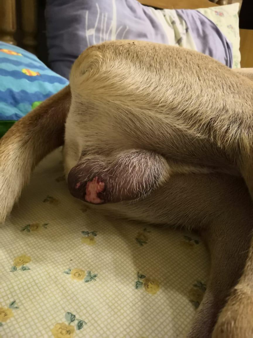 Question details sensitive content