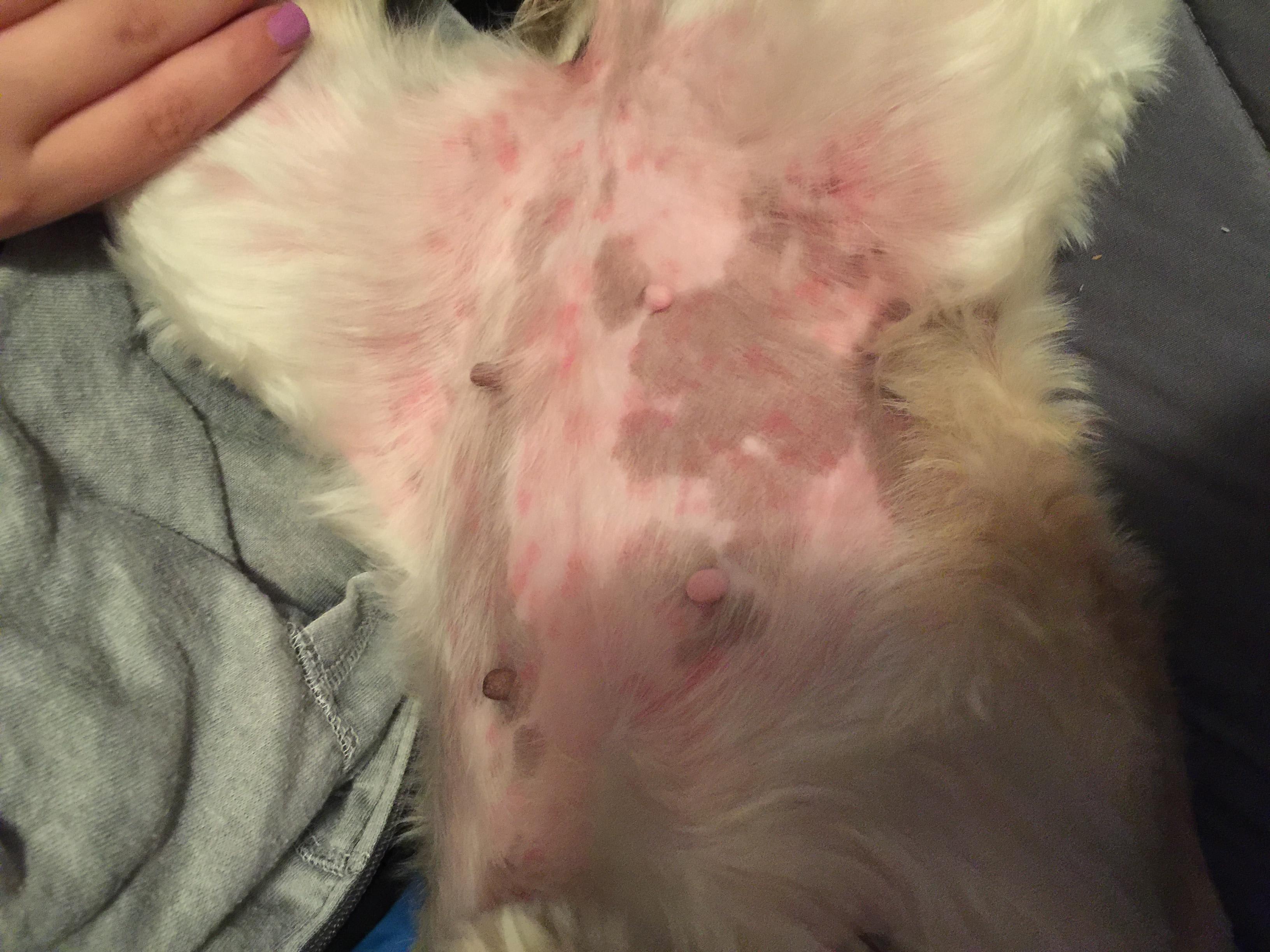 Question details sensitive content