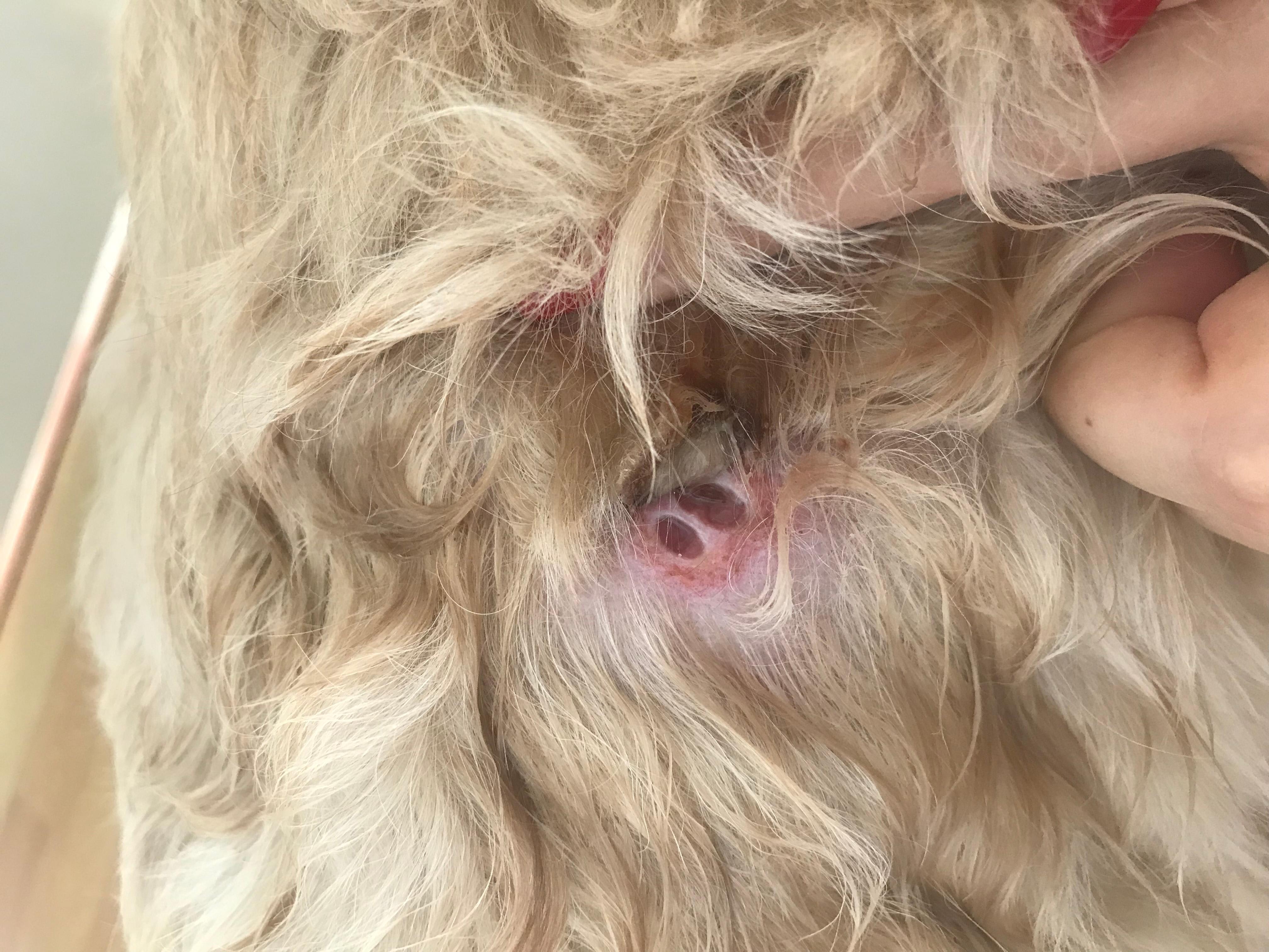 Question details sensitive content