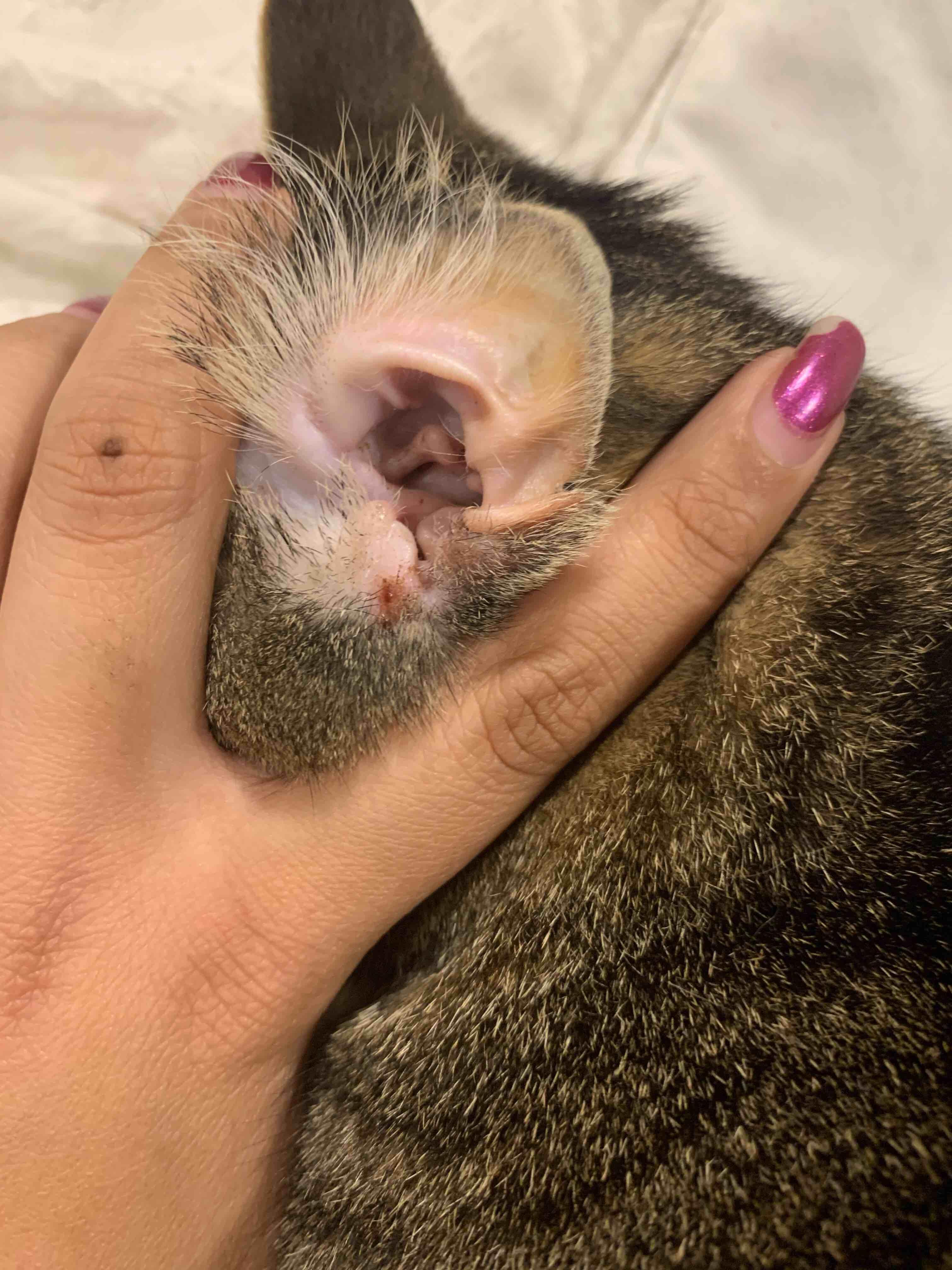 Question details sensitive content