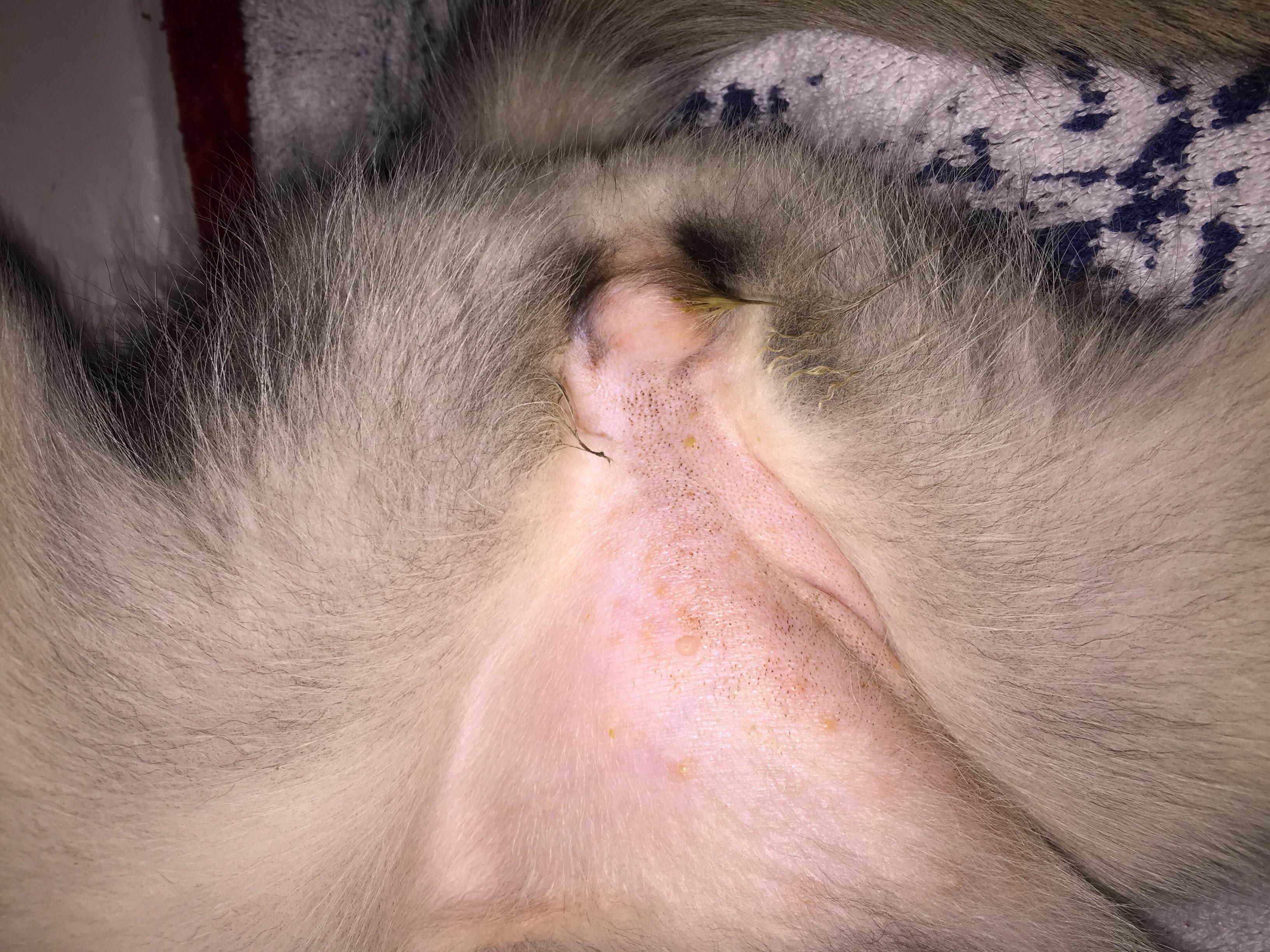 Question details sensitive content