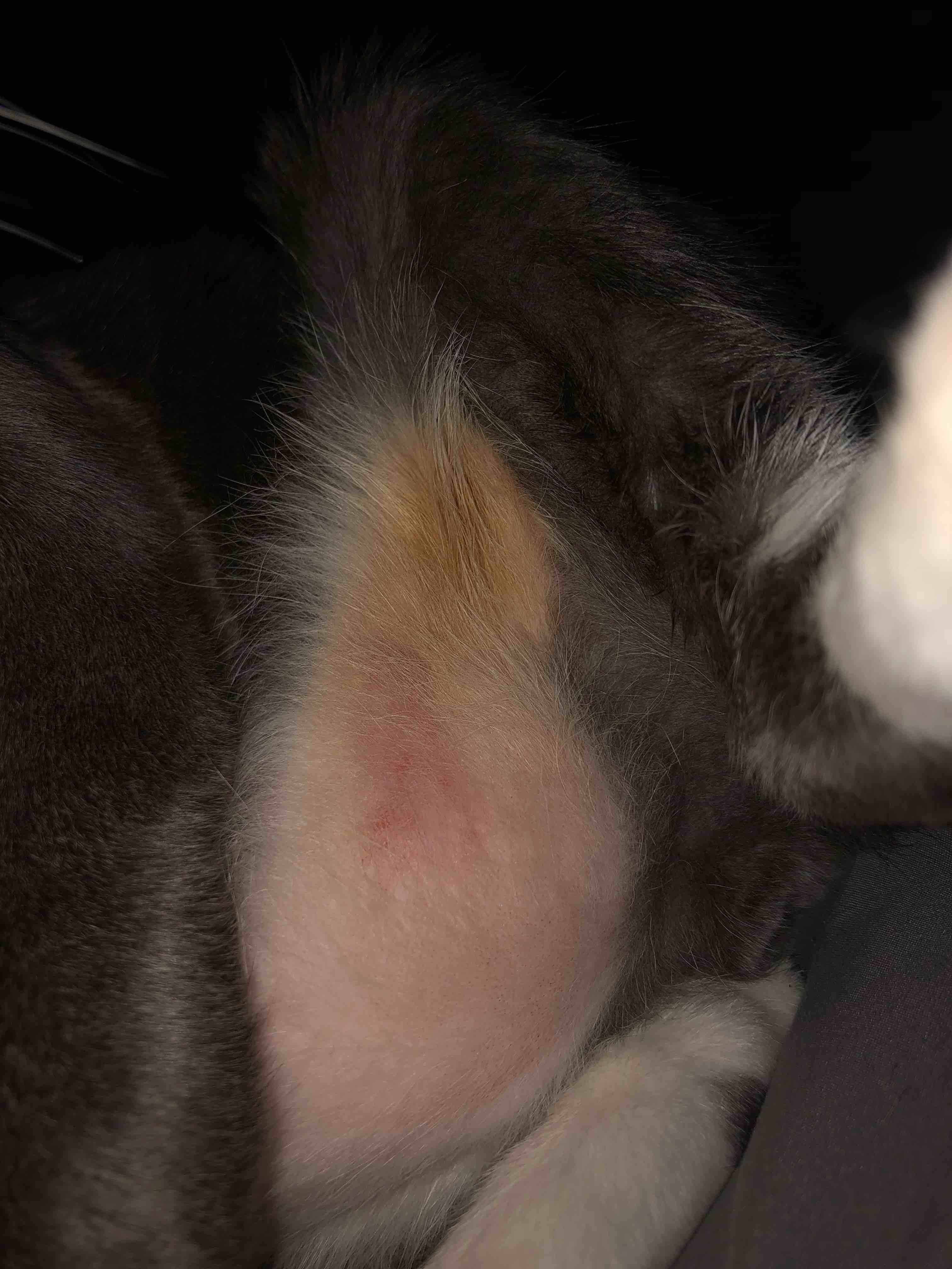 Question details sensitive content