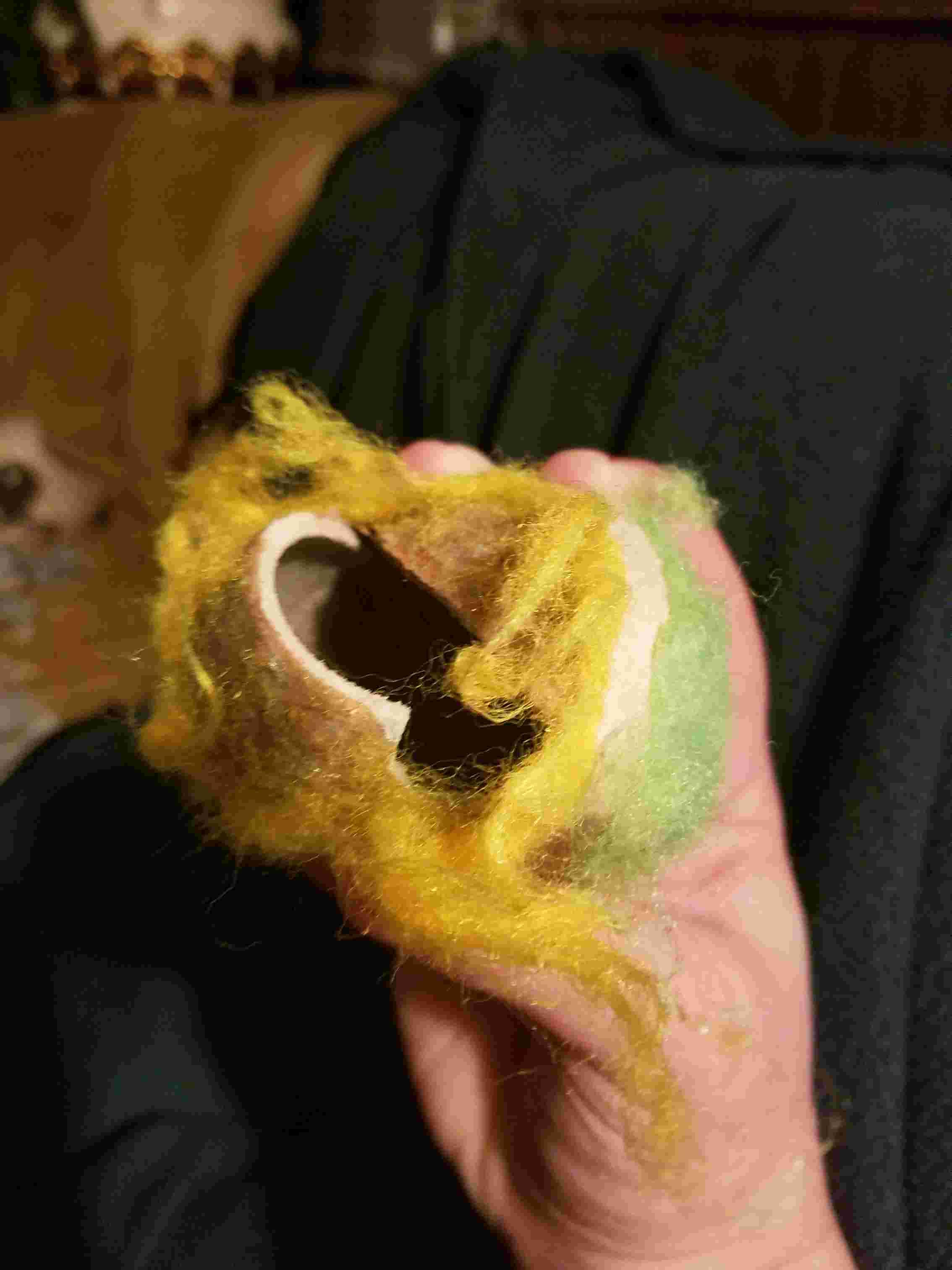 Question details sensitive content