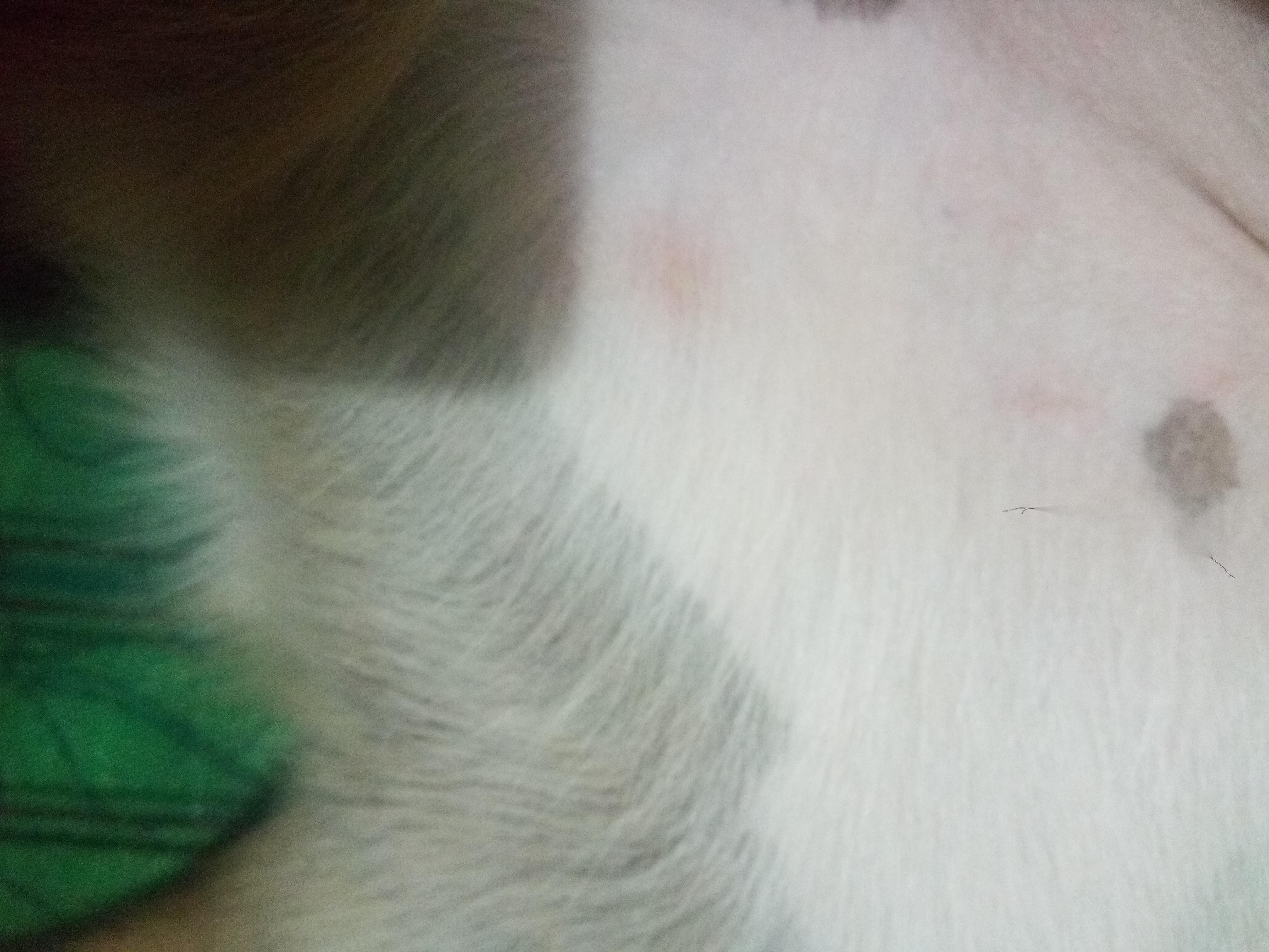 Question details sensitive content