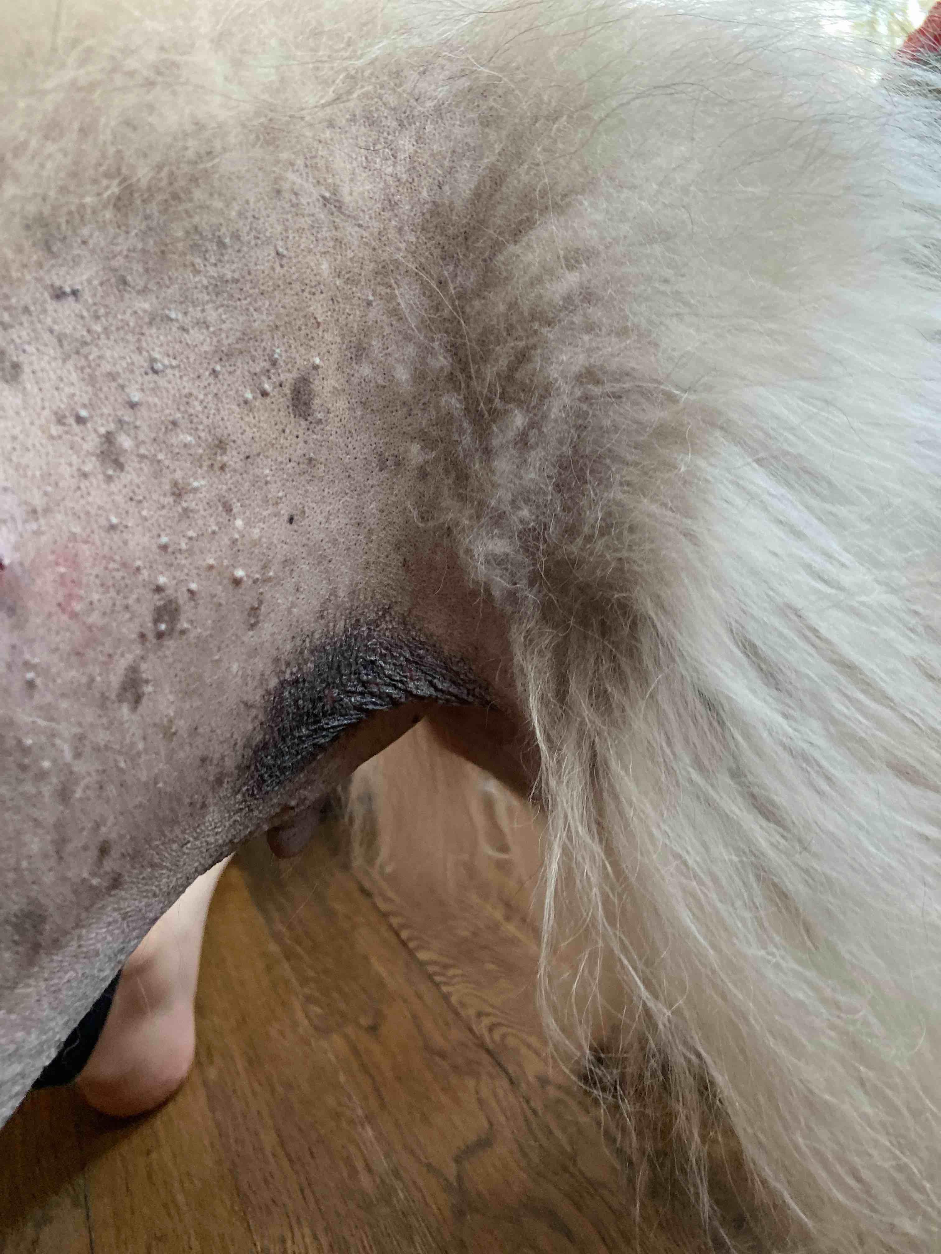 Question details sensitive content