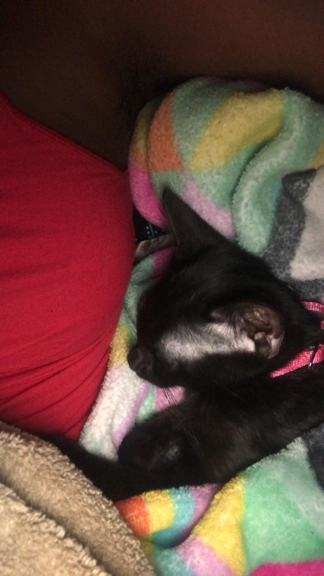 Question details sensitive content