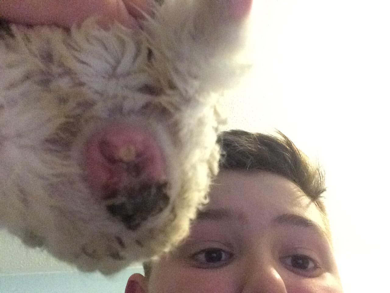 Question details sensitive content