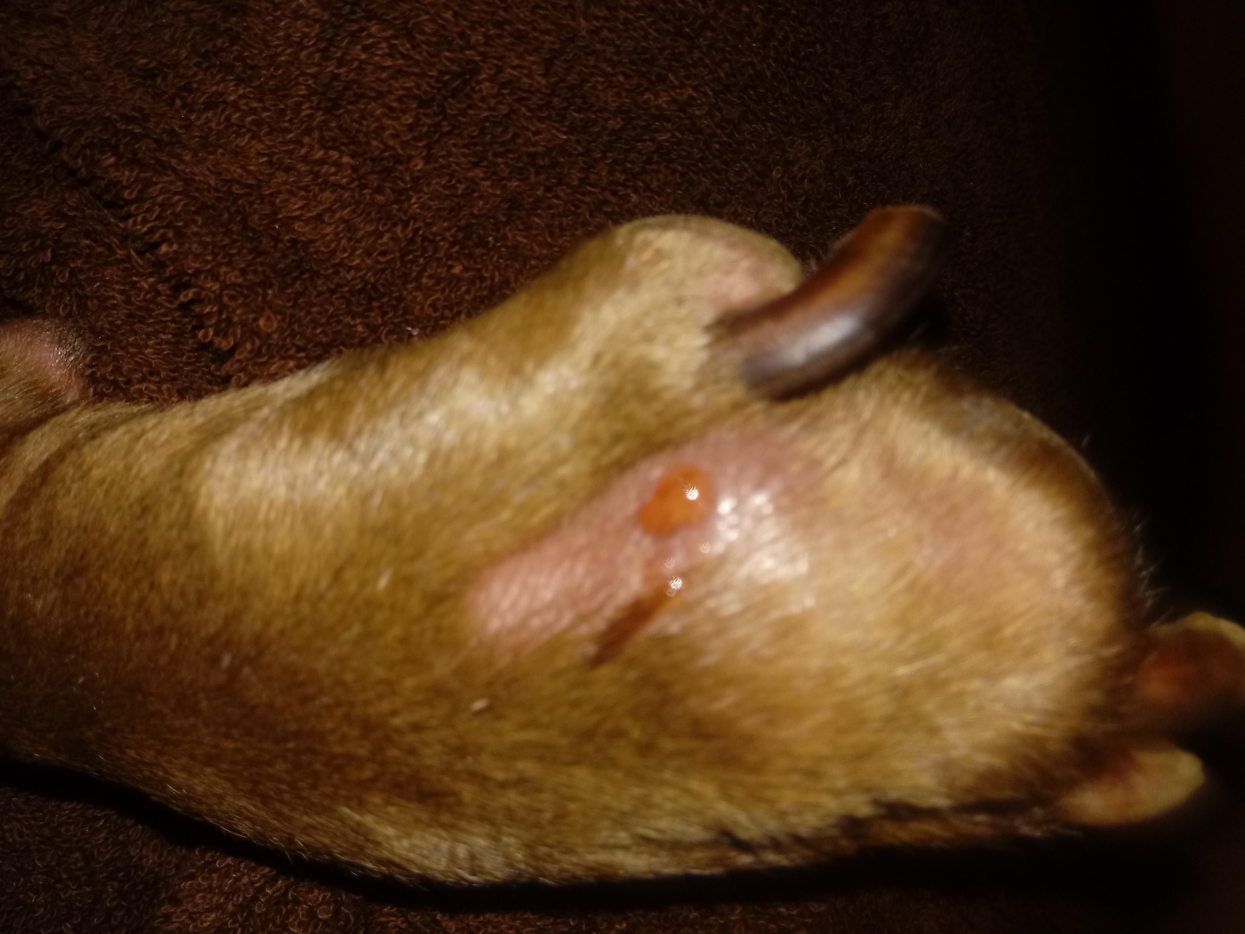 Question details sensitive content