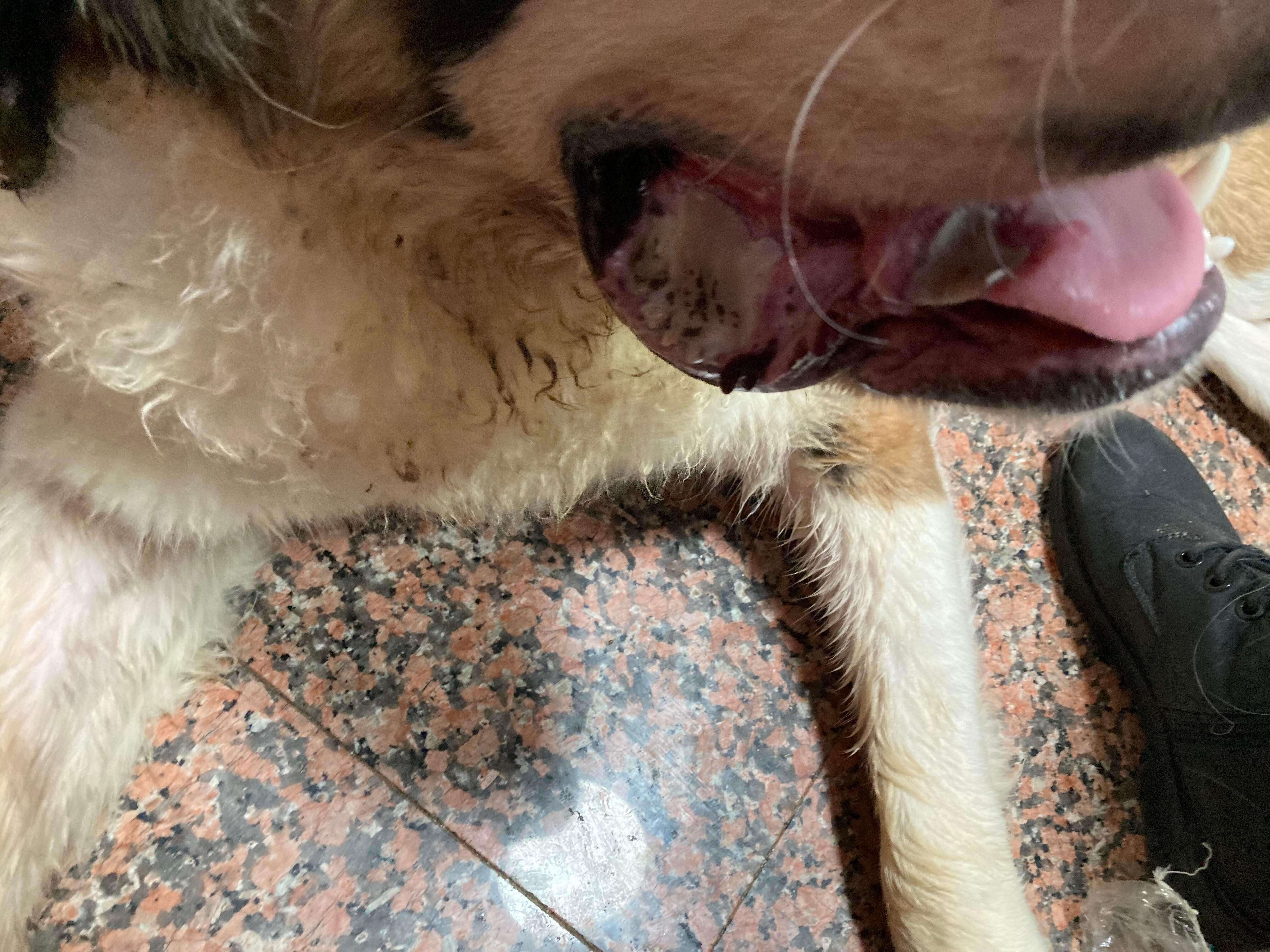 Question details sensitive content