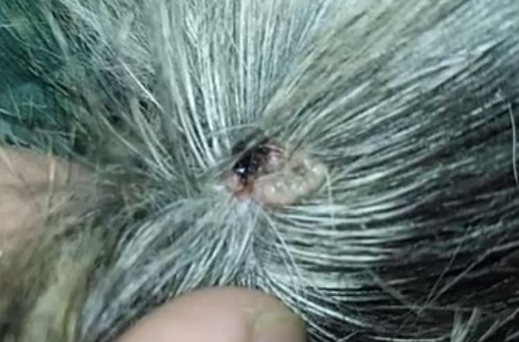 Question details sensitive content