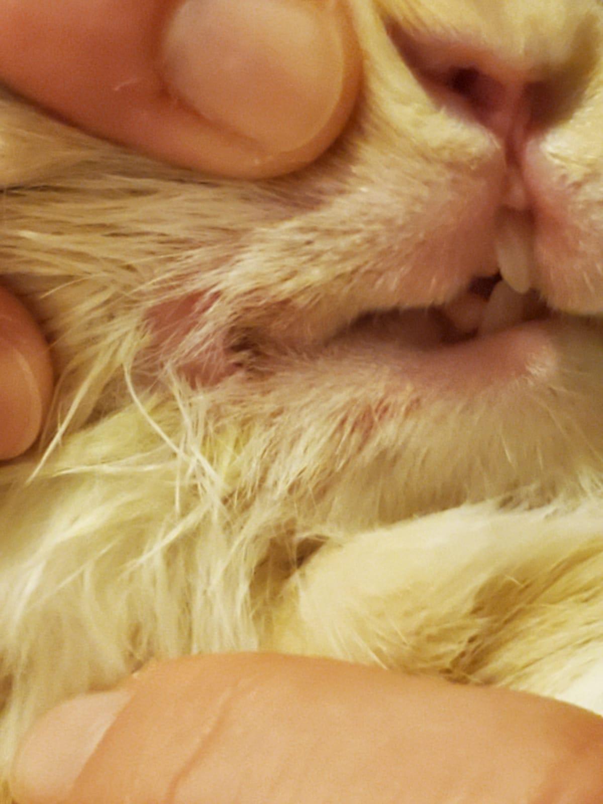 Question details sensitive content