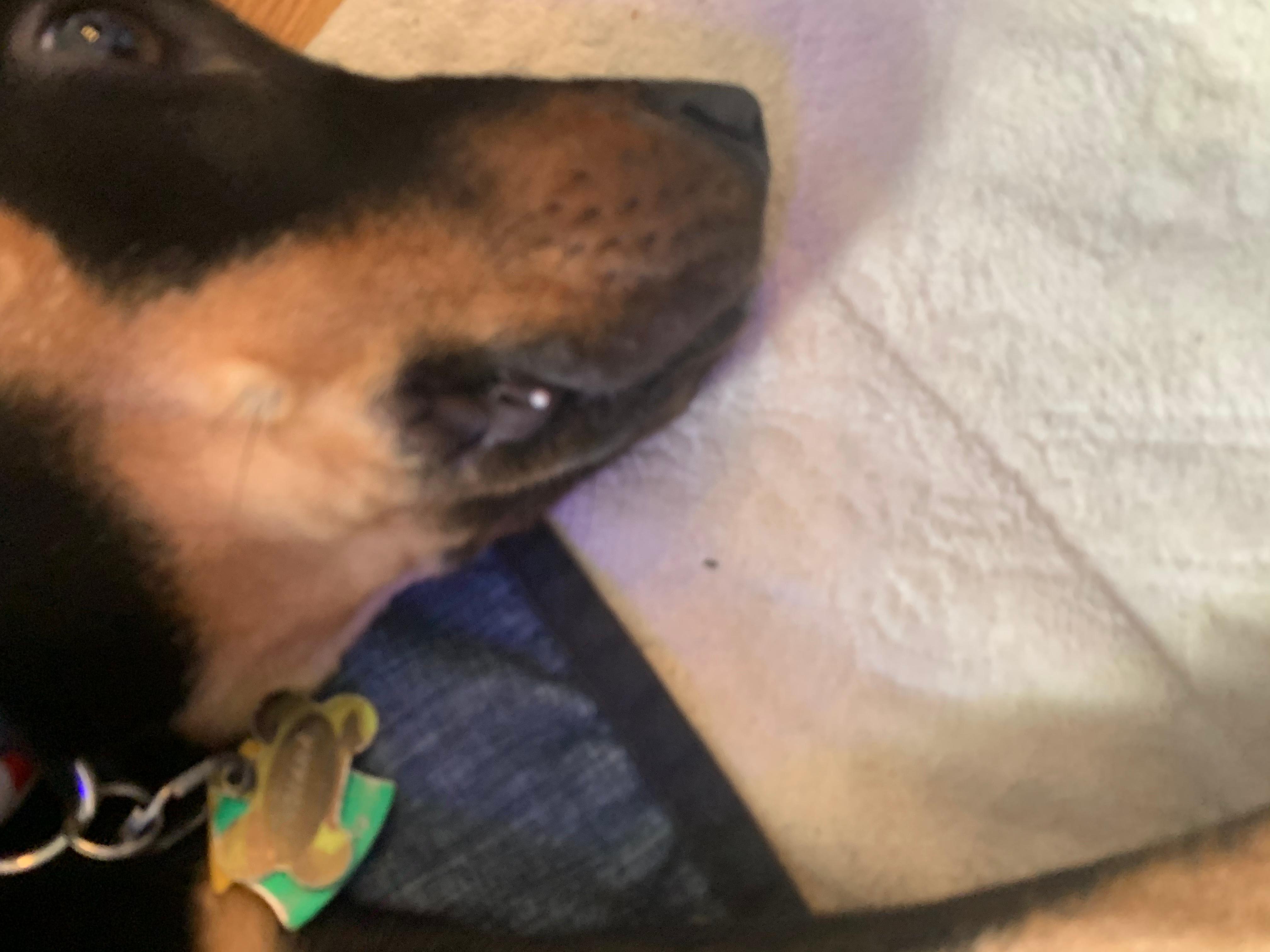 Question details sensitive content